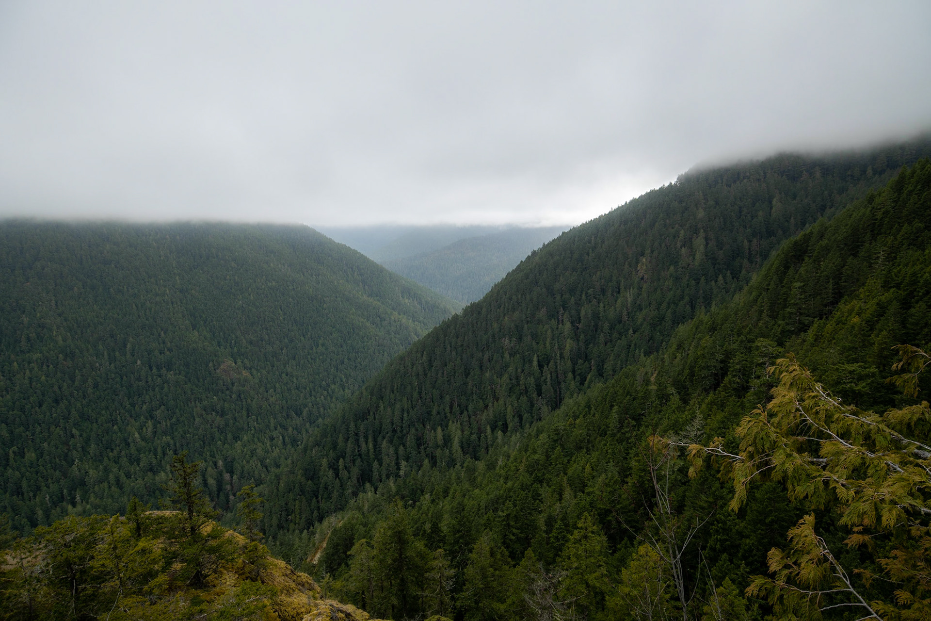 Somewhere on the way to Hurricane Ridge