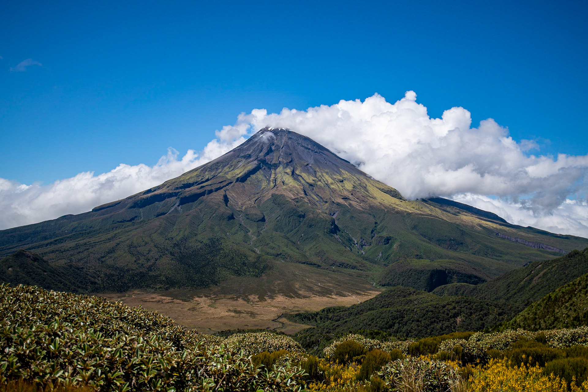 Mt. Taranaki, Egmont National Park