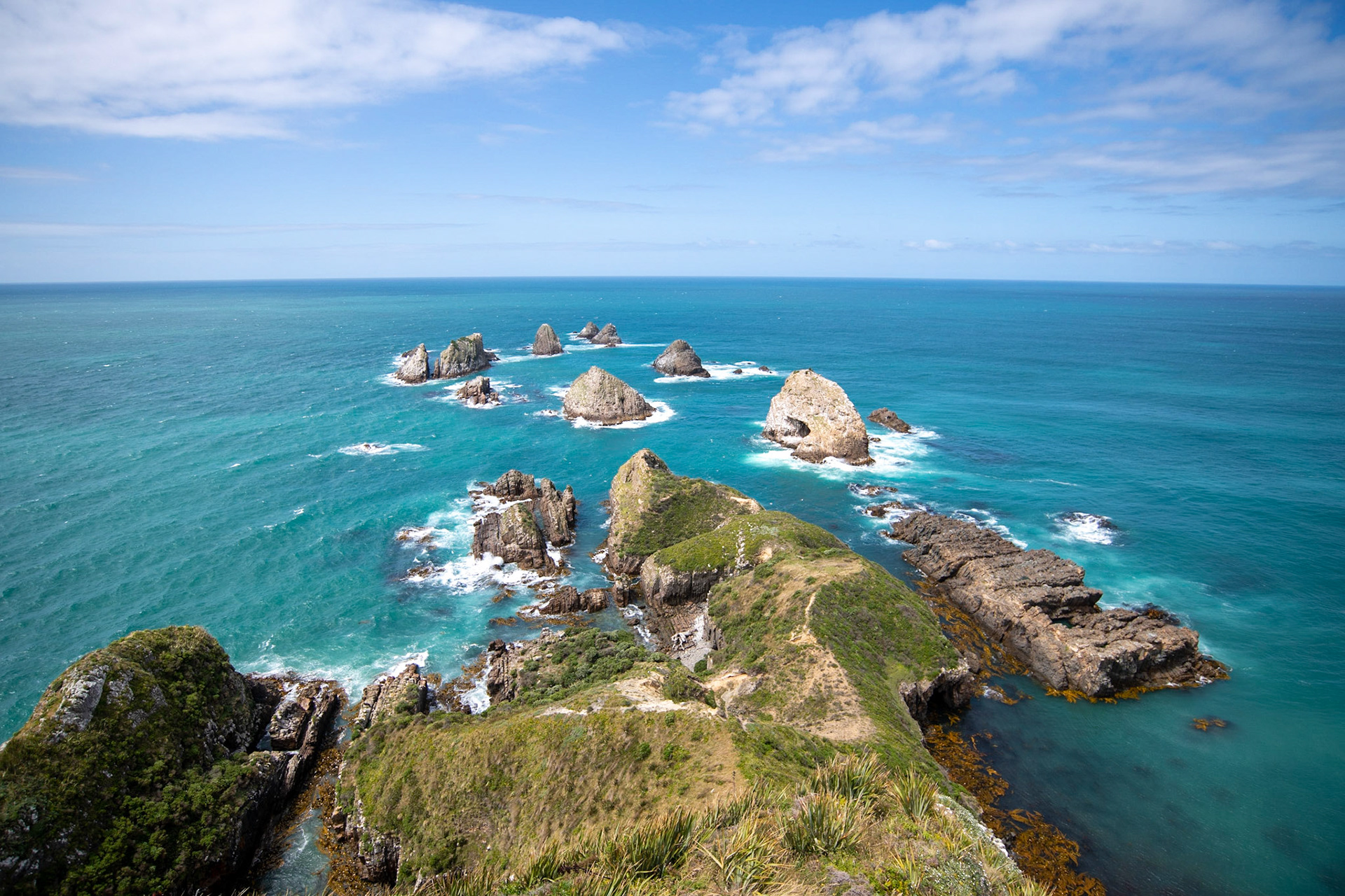 Nugget Point Cliff View