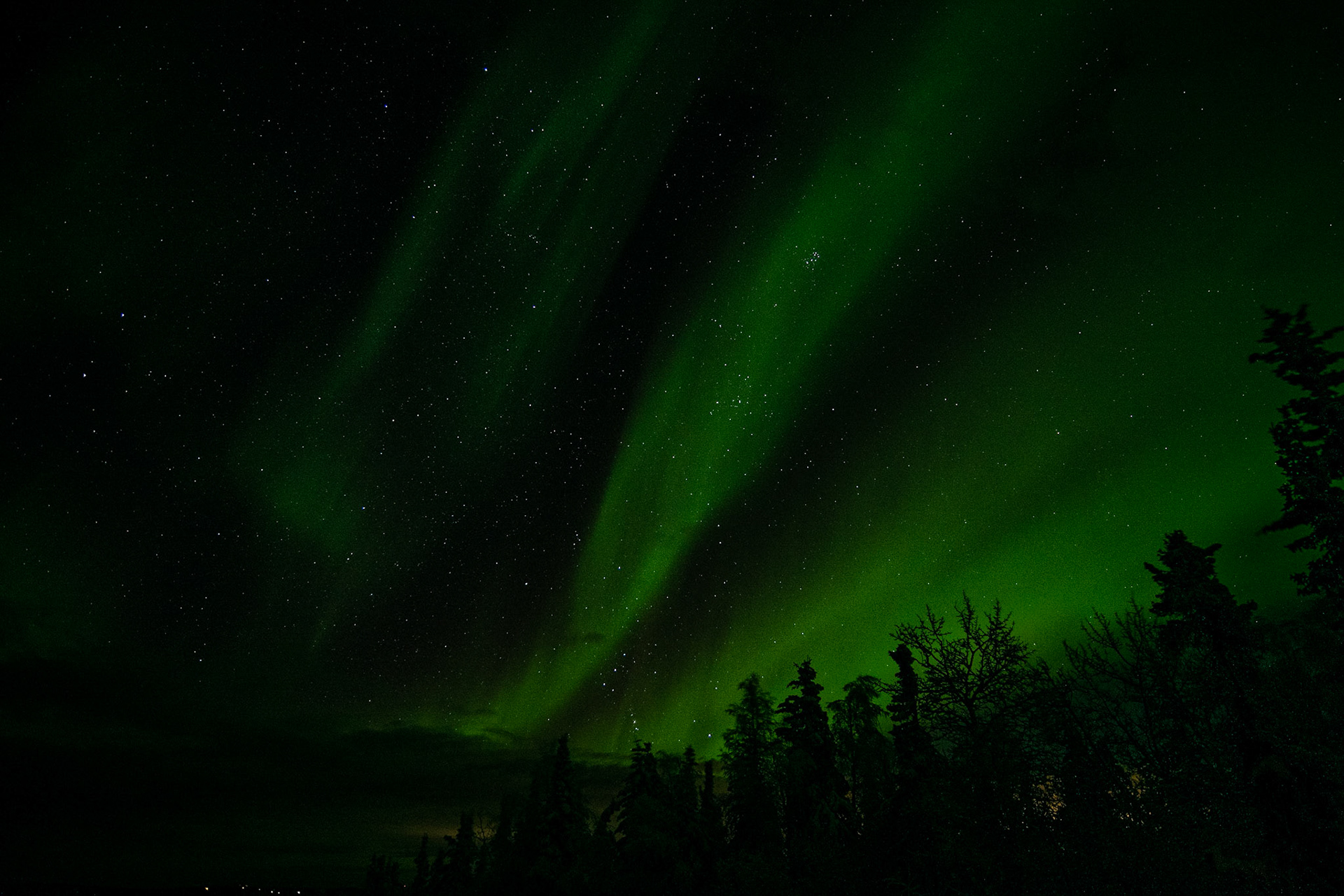 Aurora borealis at Wickersham dome