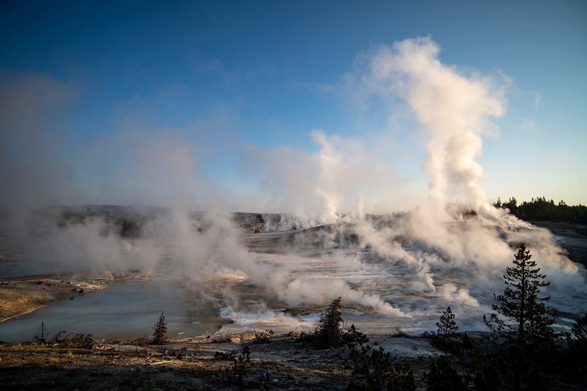 Norris Porcelain Basin in the morning