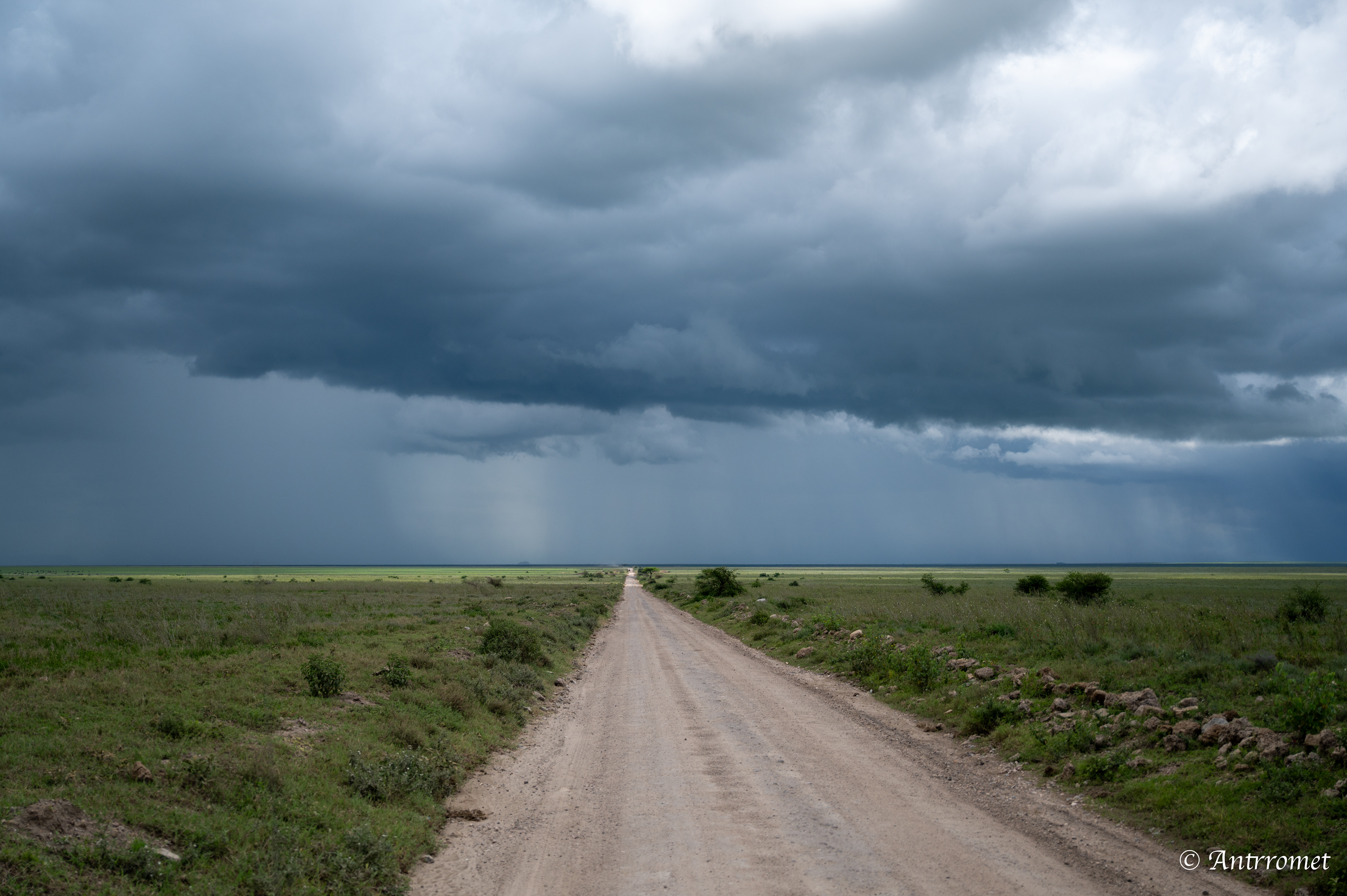 Storm brewing over Serengeti (endless plains)