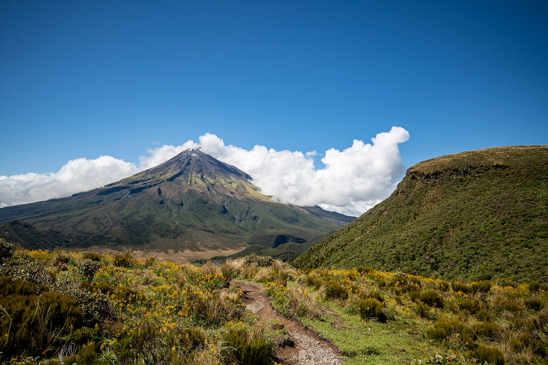 Mt. Taranaki, Egmont National Park