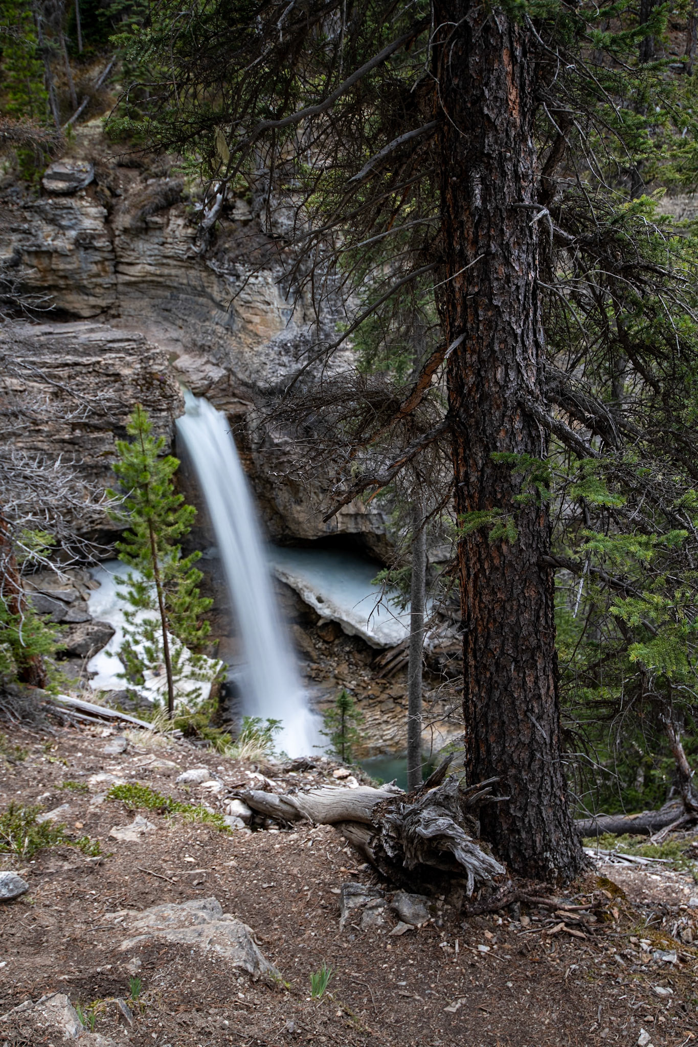 On the way to Stanley Falls on Beauty Creek Trail