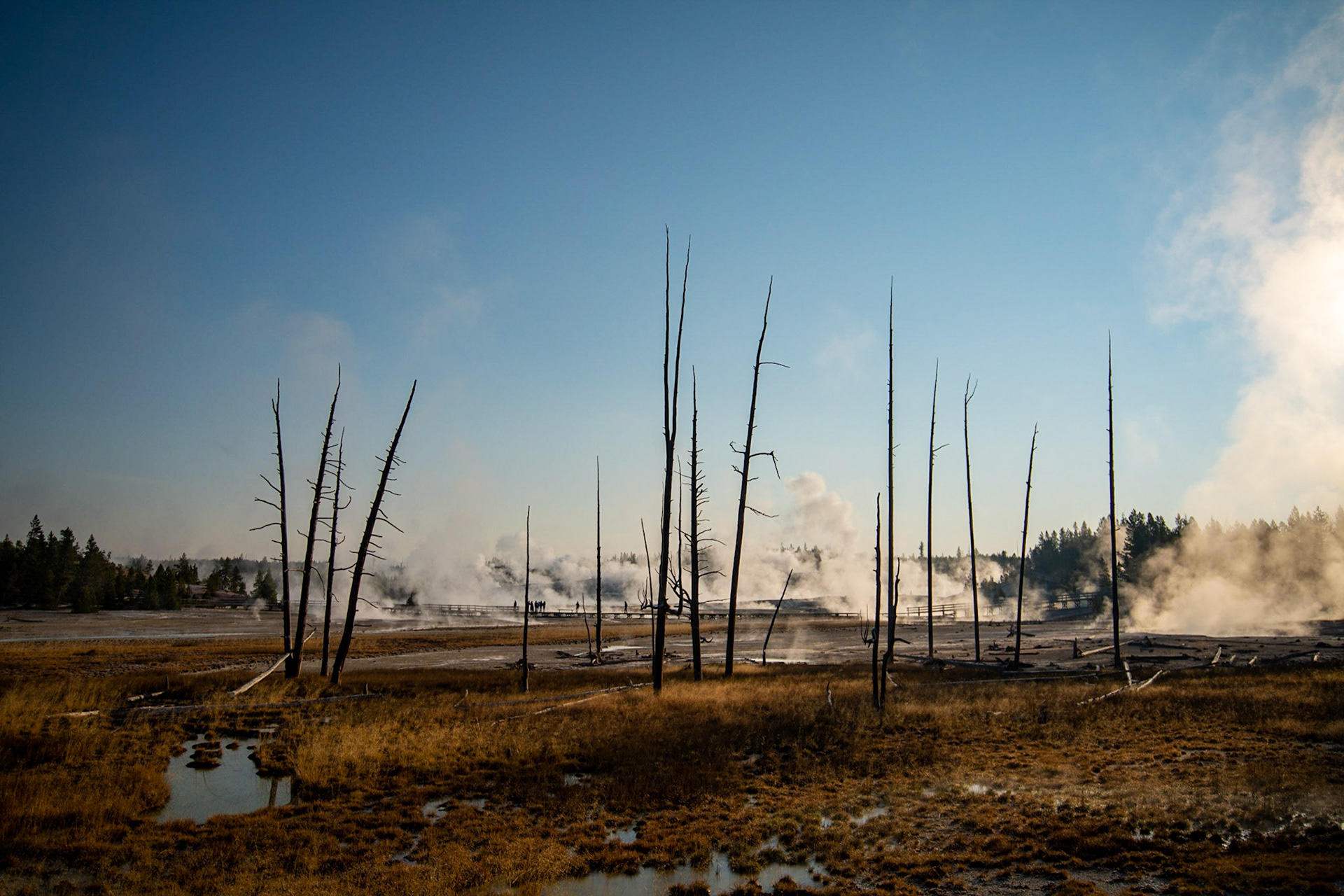 Norris Porcelain Basin