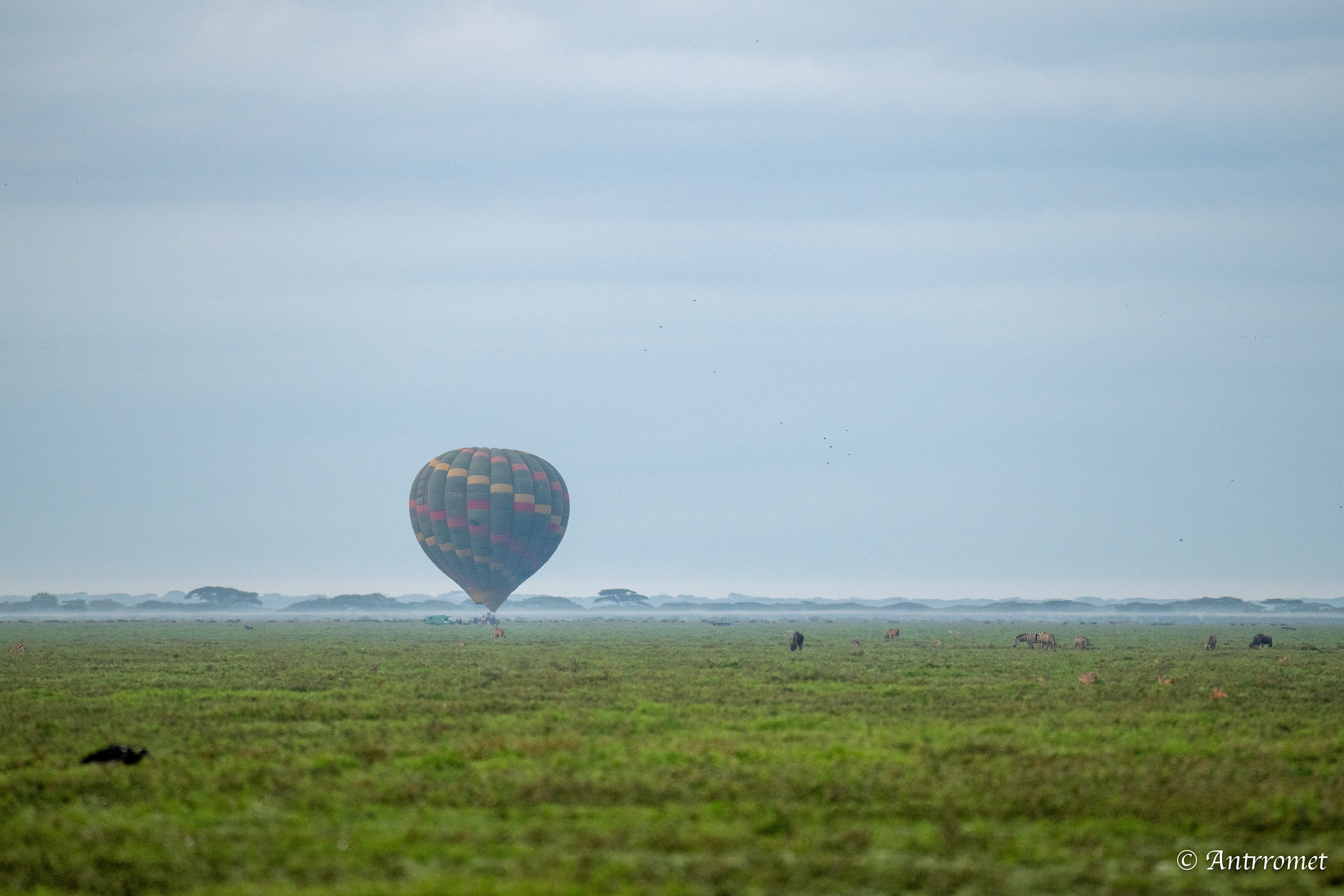 Hot air balloon ride over Ndutu region