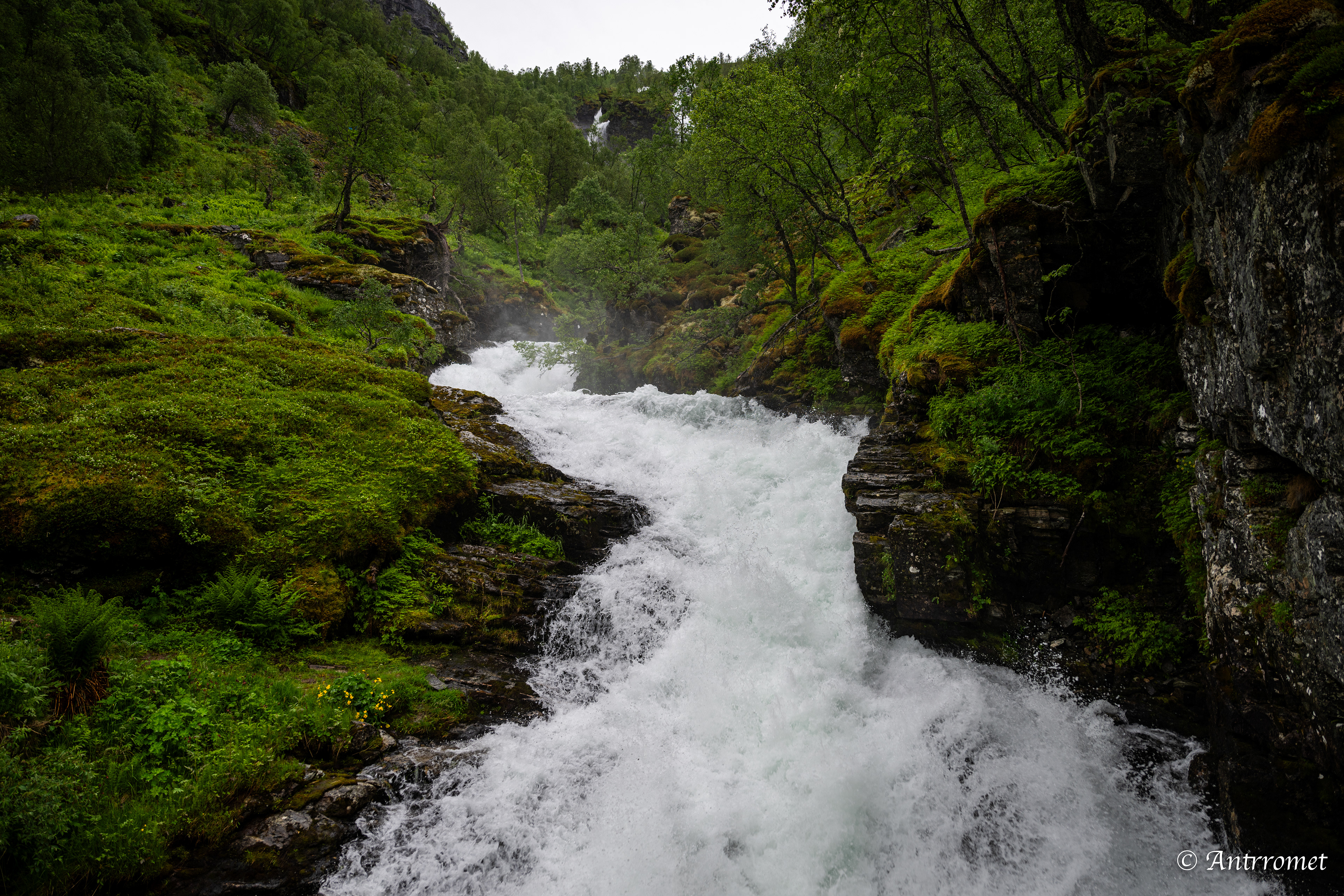 Myrdalsvingane, on the hike back to Flåm