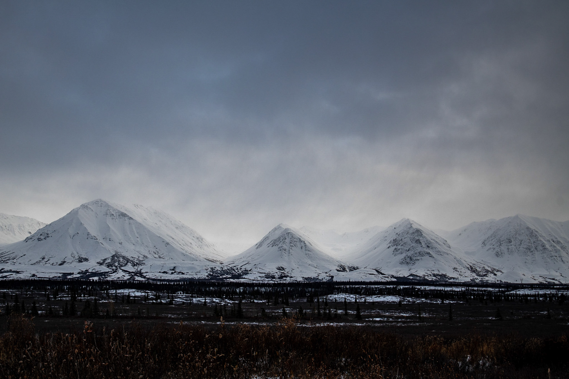 Somewhere on Denali Highway
