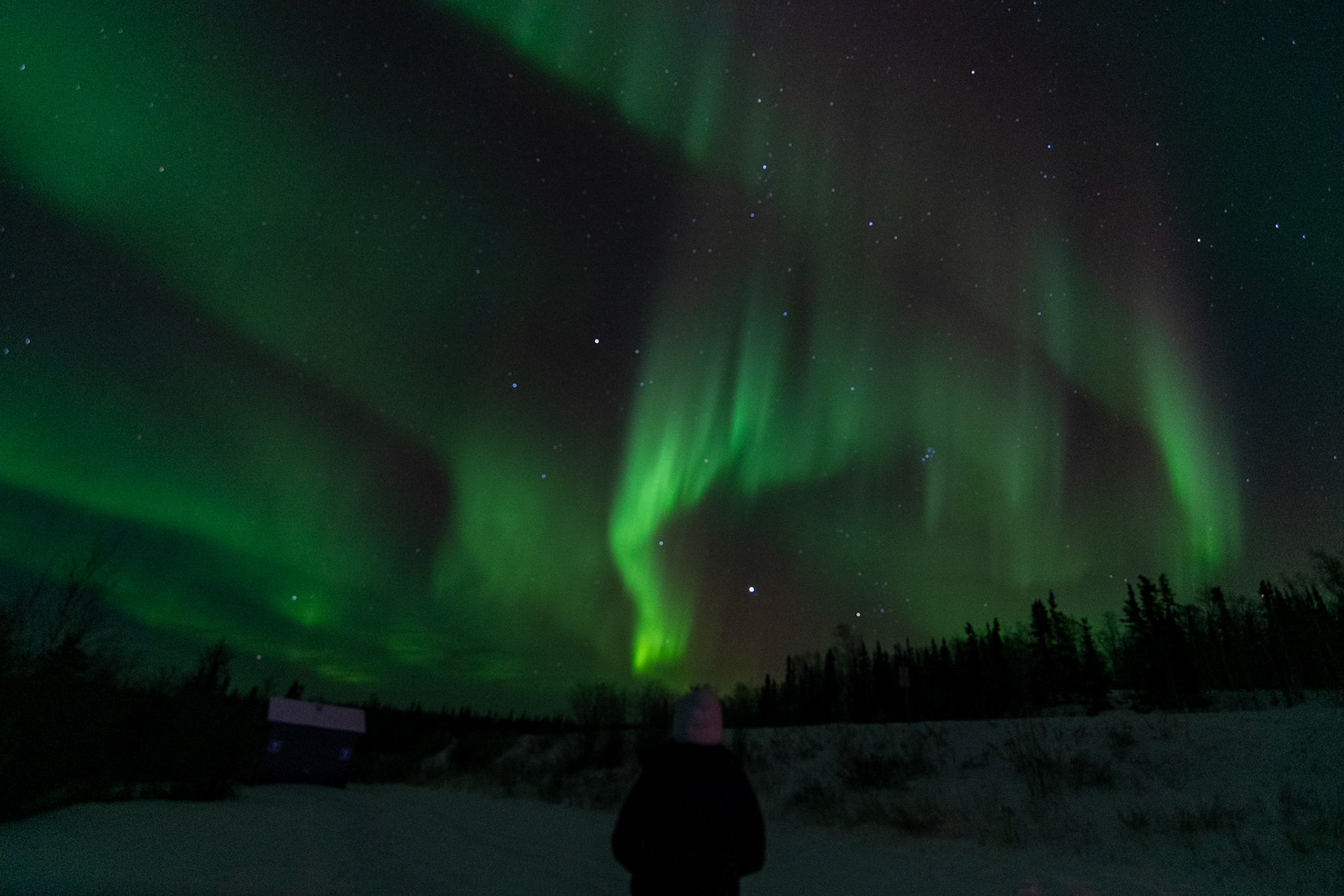 Northern lights at Prosperous Lake, Ingraham Trail