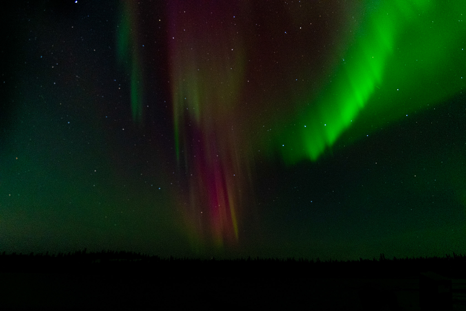 Northern lights at Prosperous Lake, Ingraham Trail