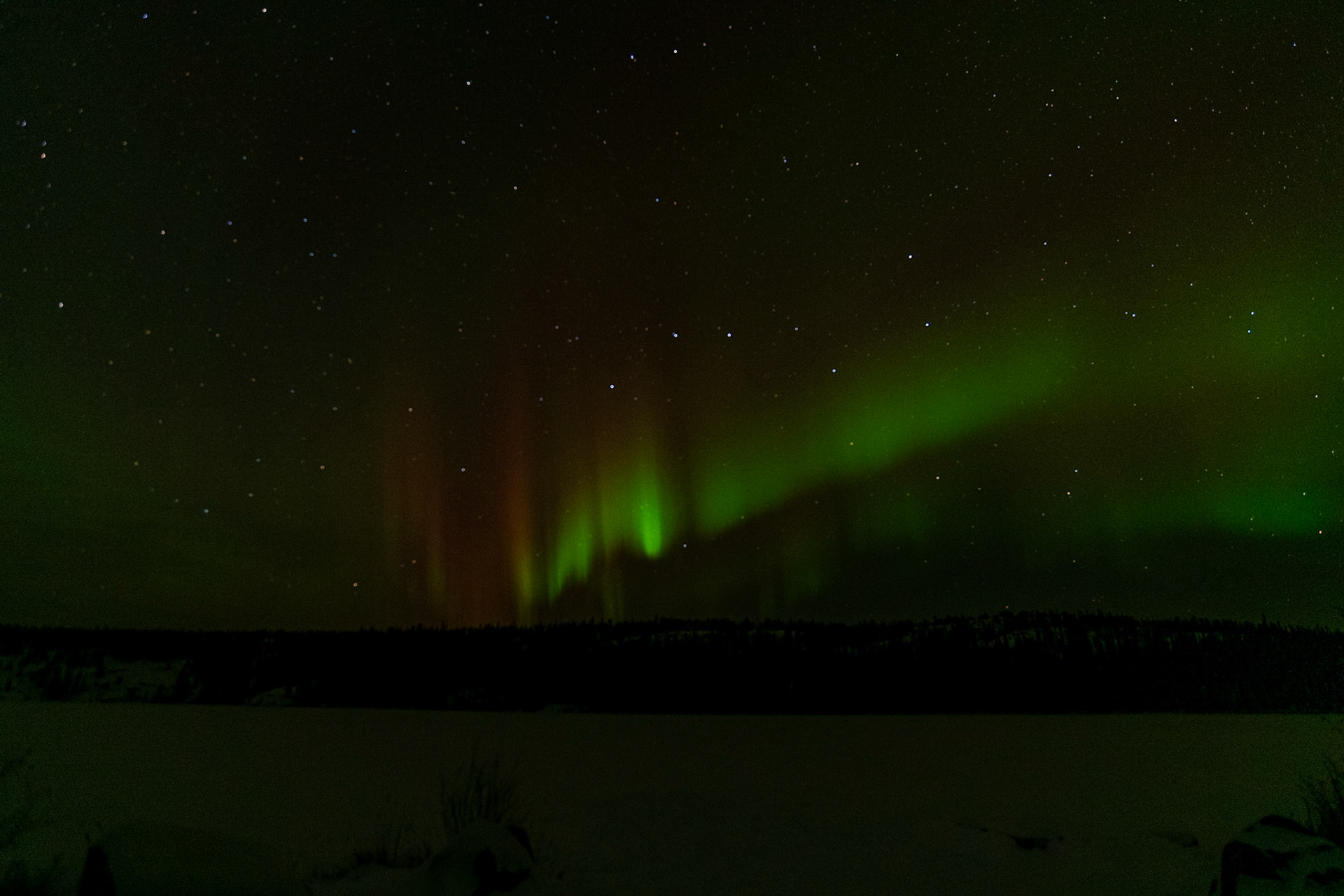 Northern lights at Madeline Lake, Ingraham Trail