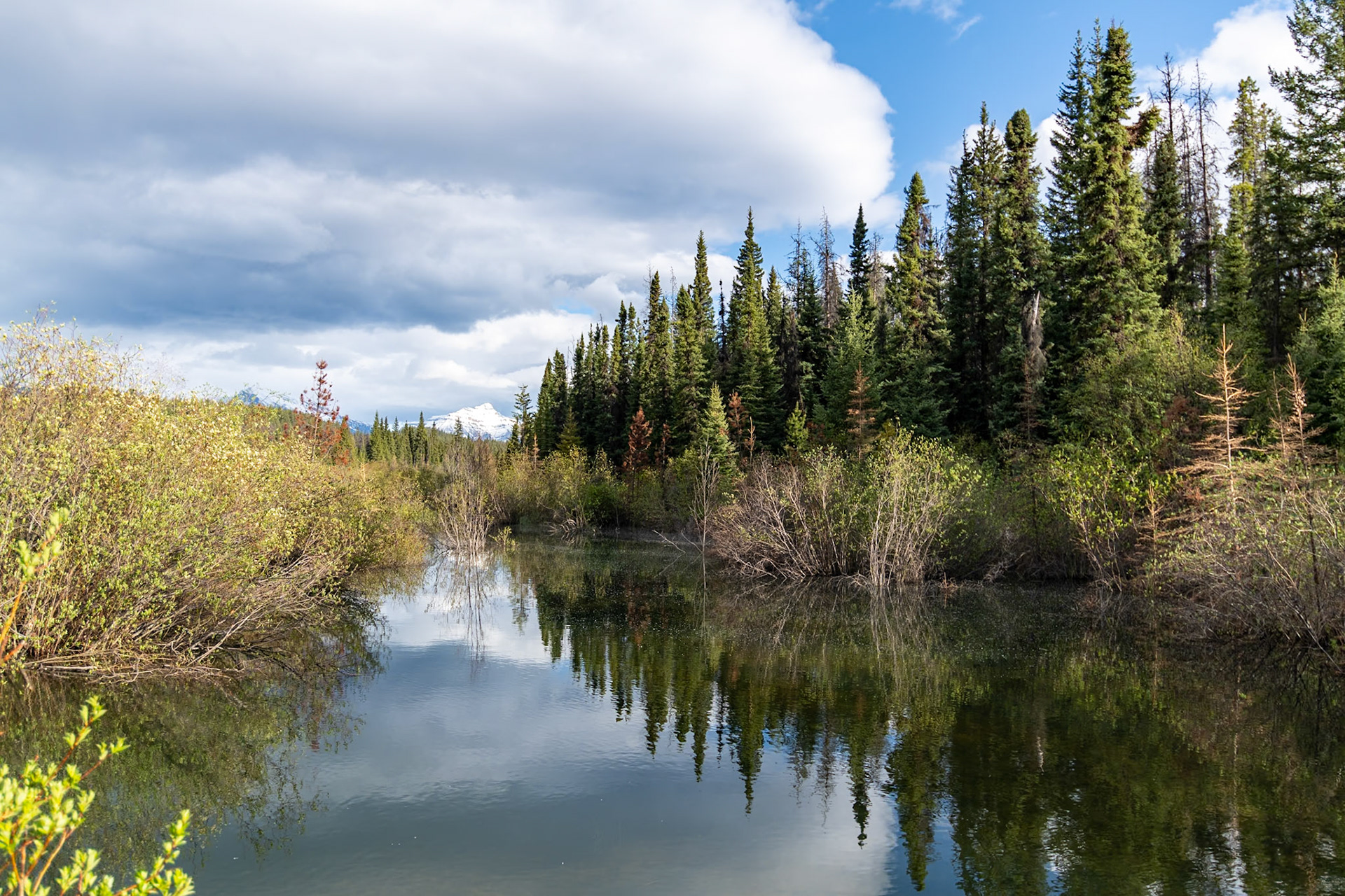 Valley of the Five Lakes Trail