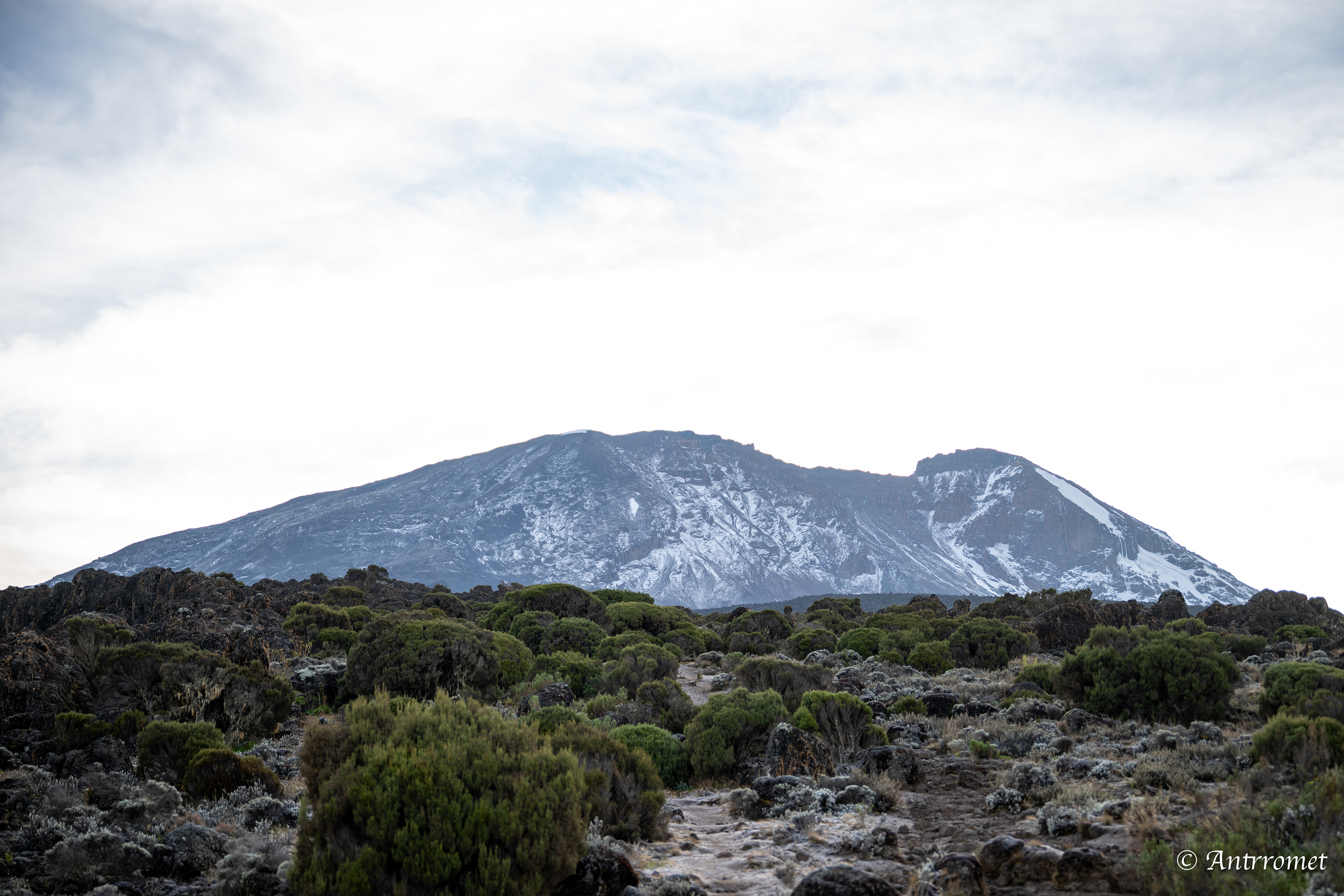 Day 3: View from Shira 2 camp