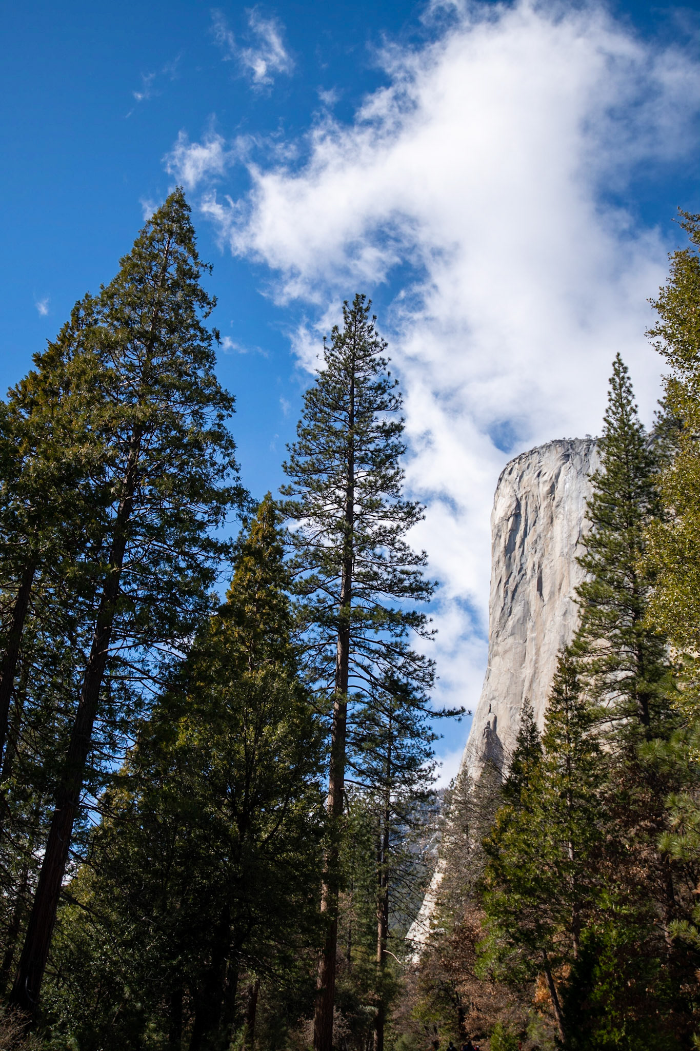 El Capitan