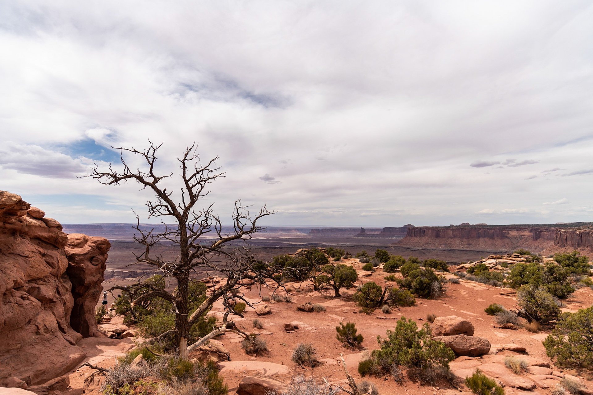 Grand View Point