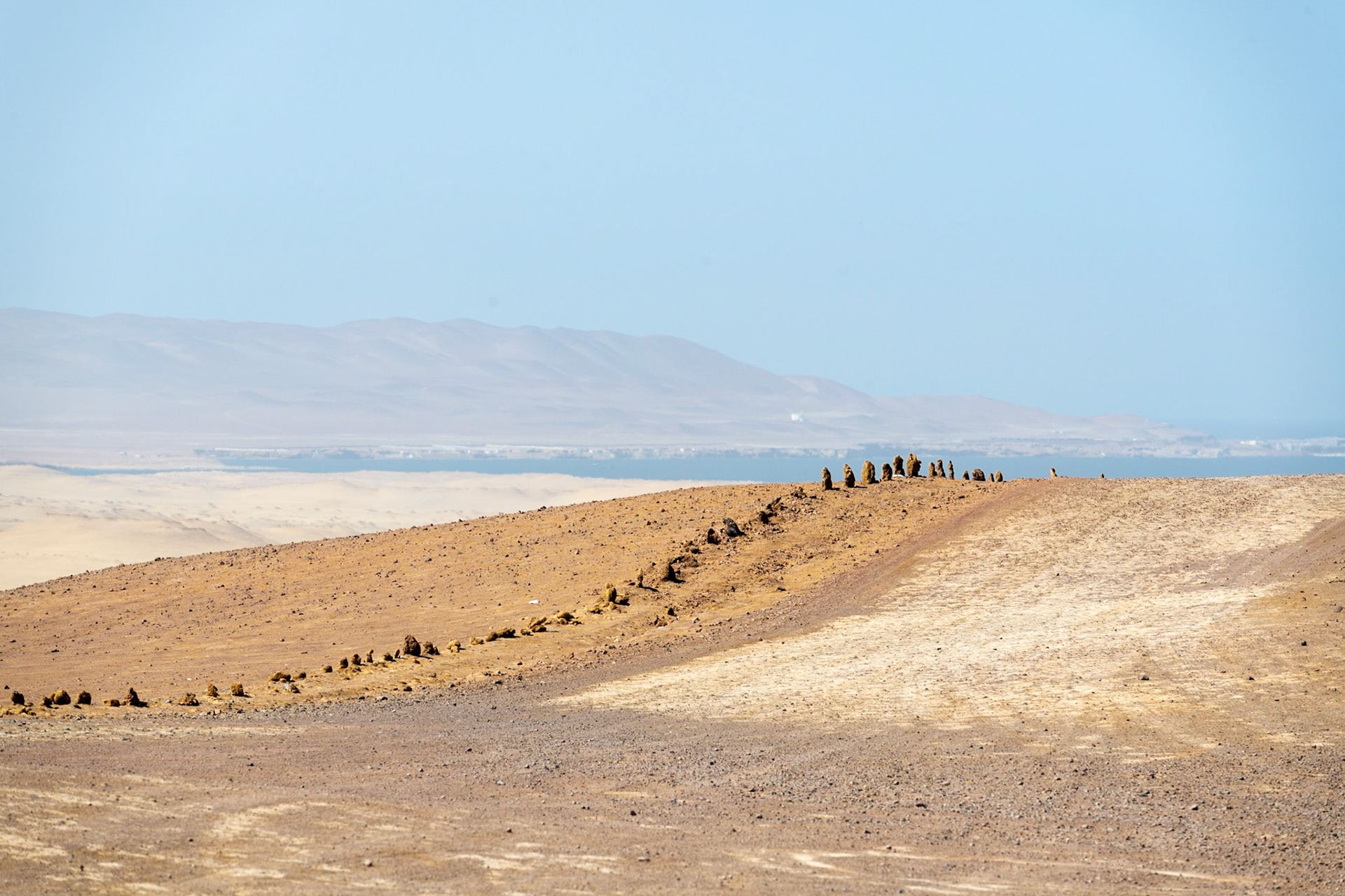 Paracas National Reserve