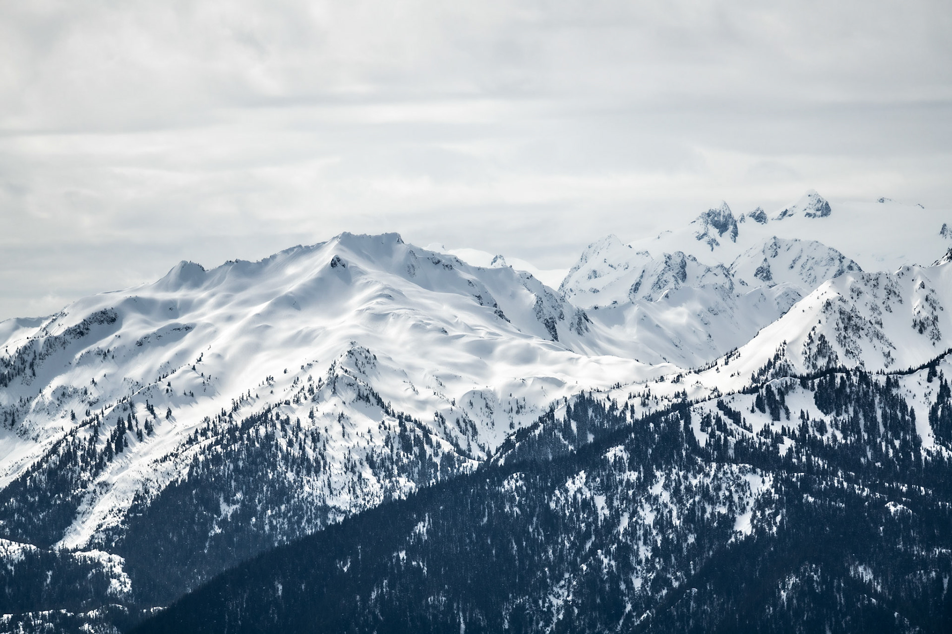 Hurricane Ridge