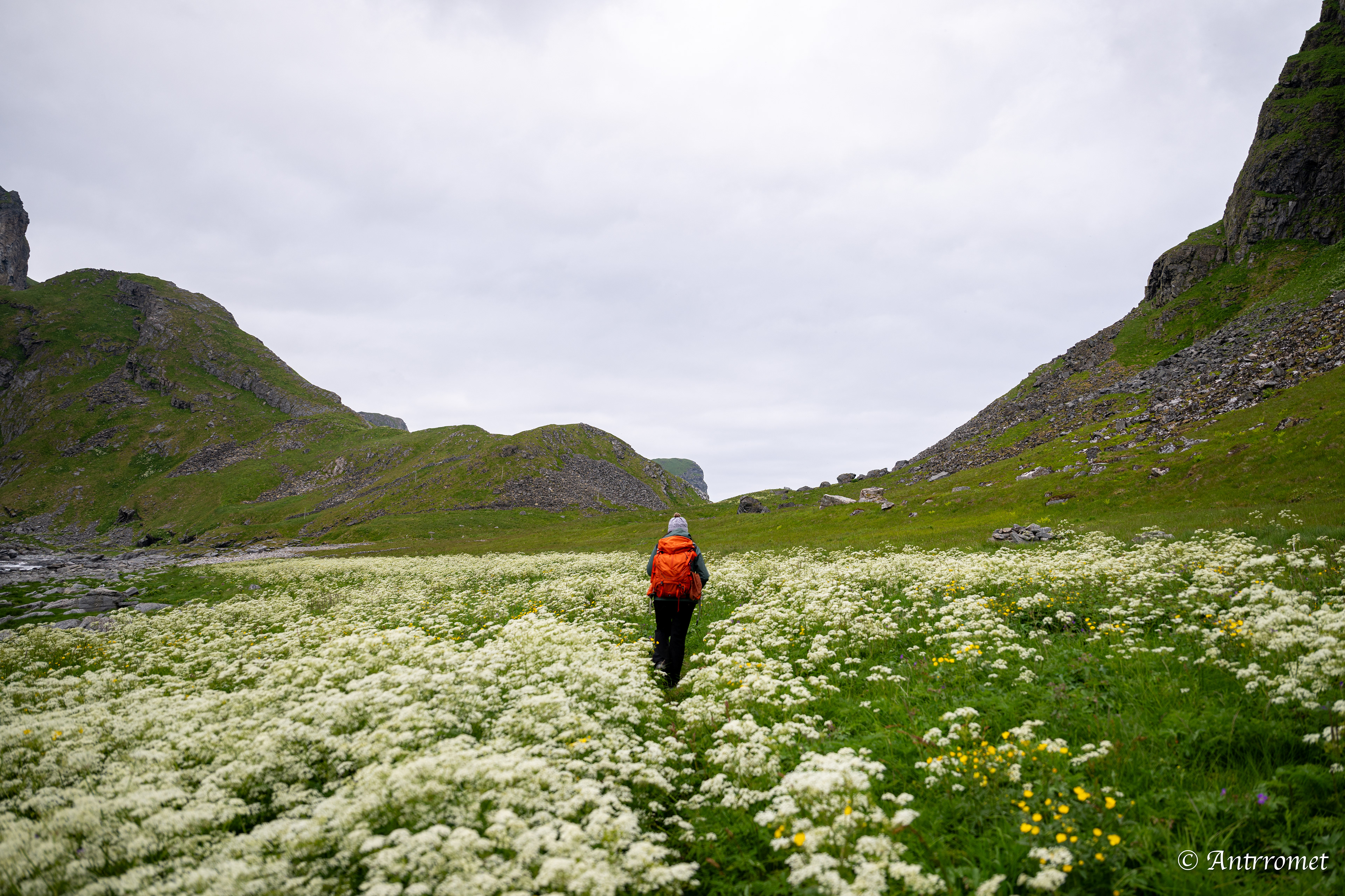 On the way to the Bird Cliff at Værøy