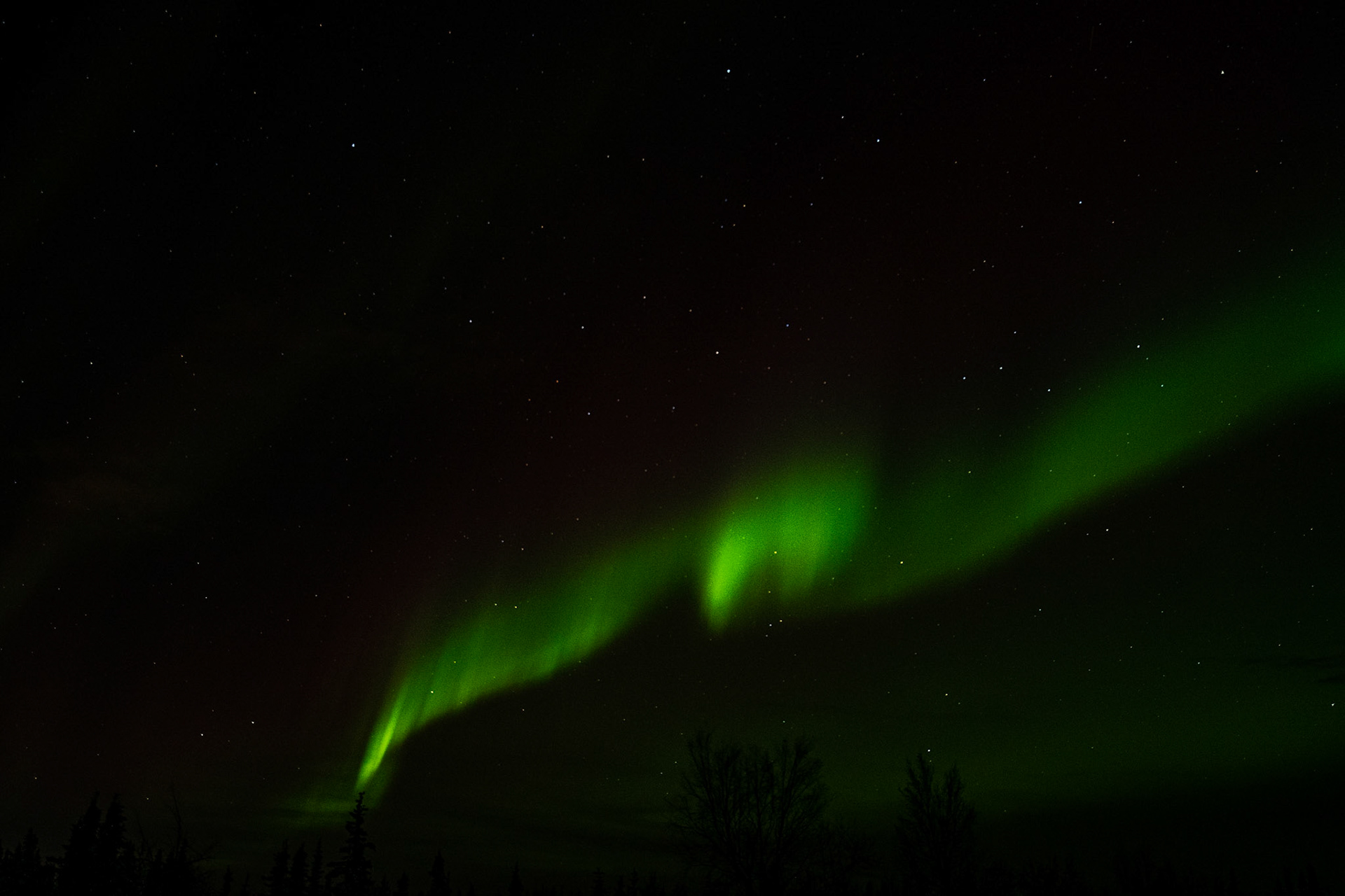Aurora borealis at Murphy dome