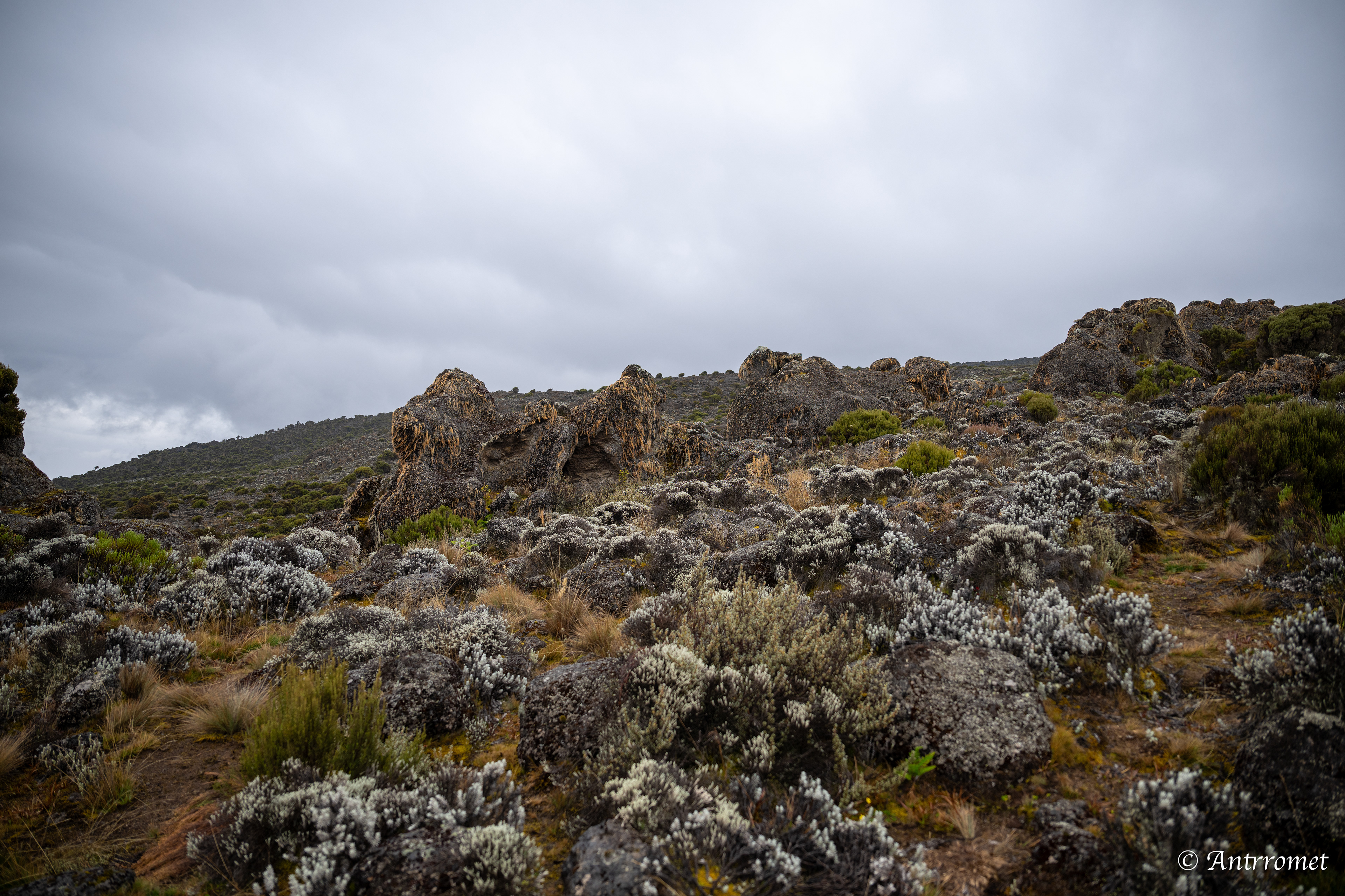 Day 2: Acclimatization walk