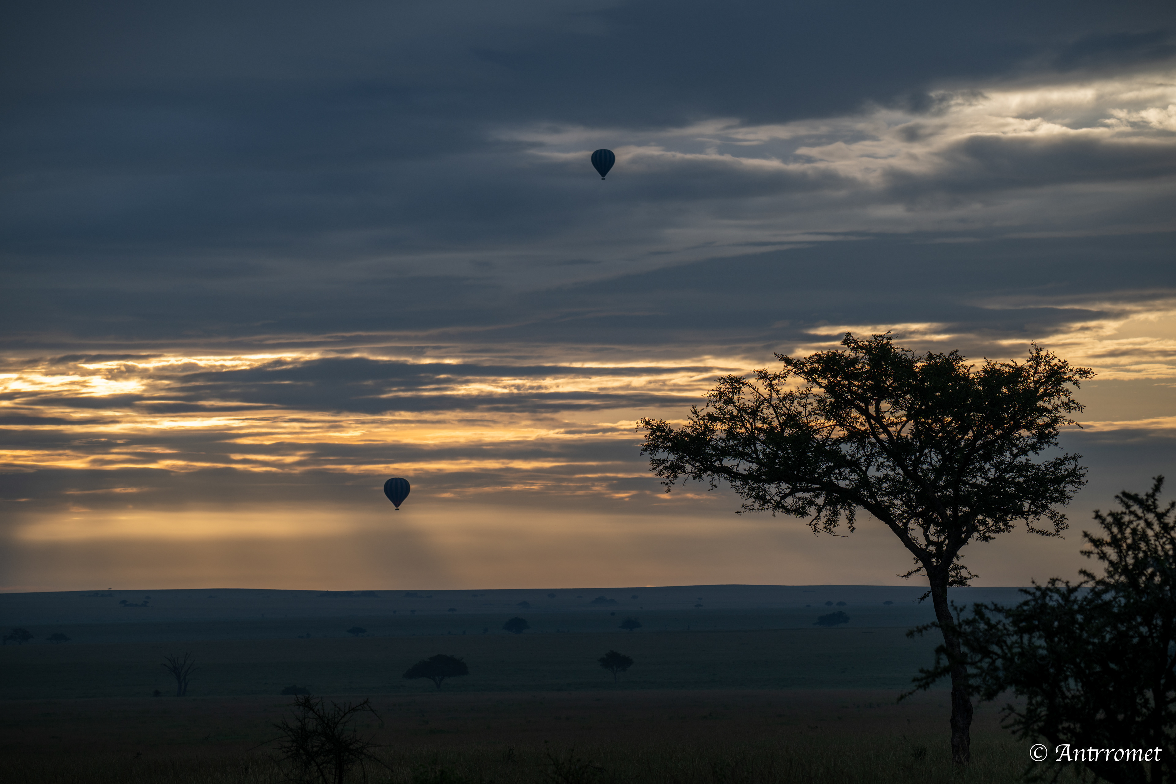 Sunrise in Serengeti