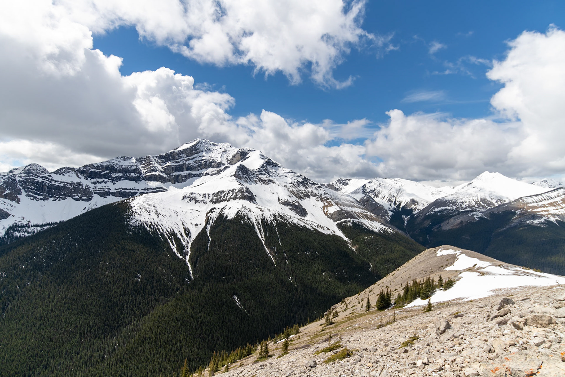 Sulphur Skyline Trail