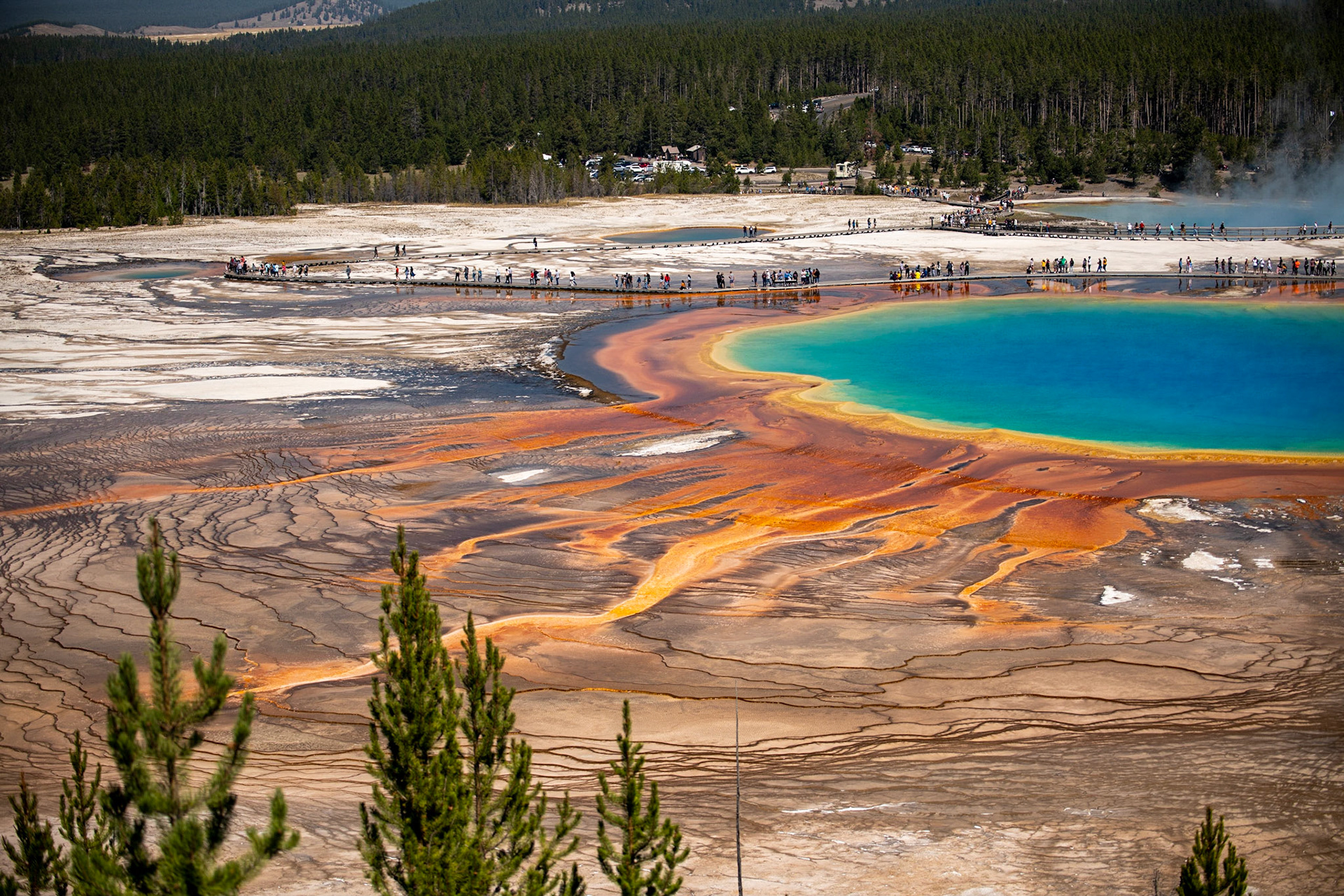 Grand Prismatic Spring