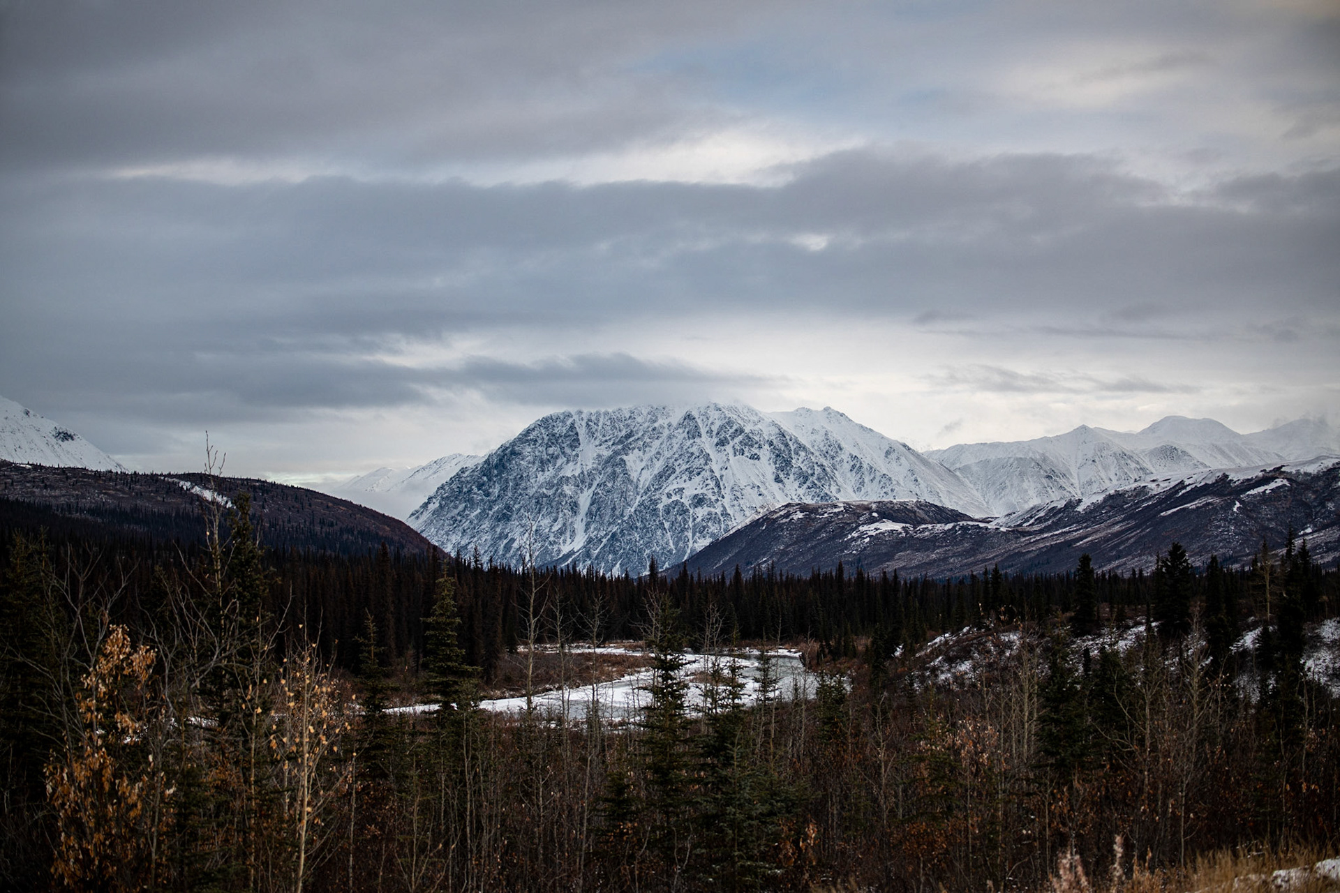 Somewhere on Denali Highway