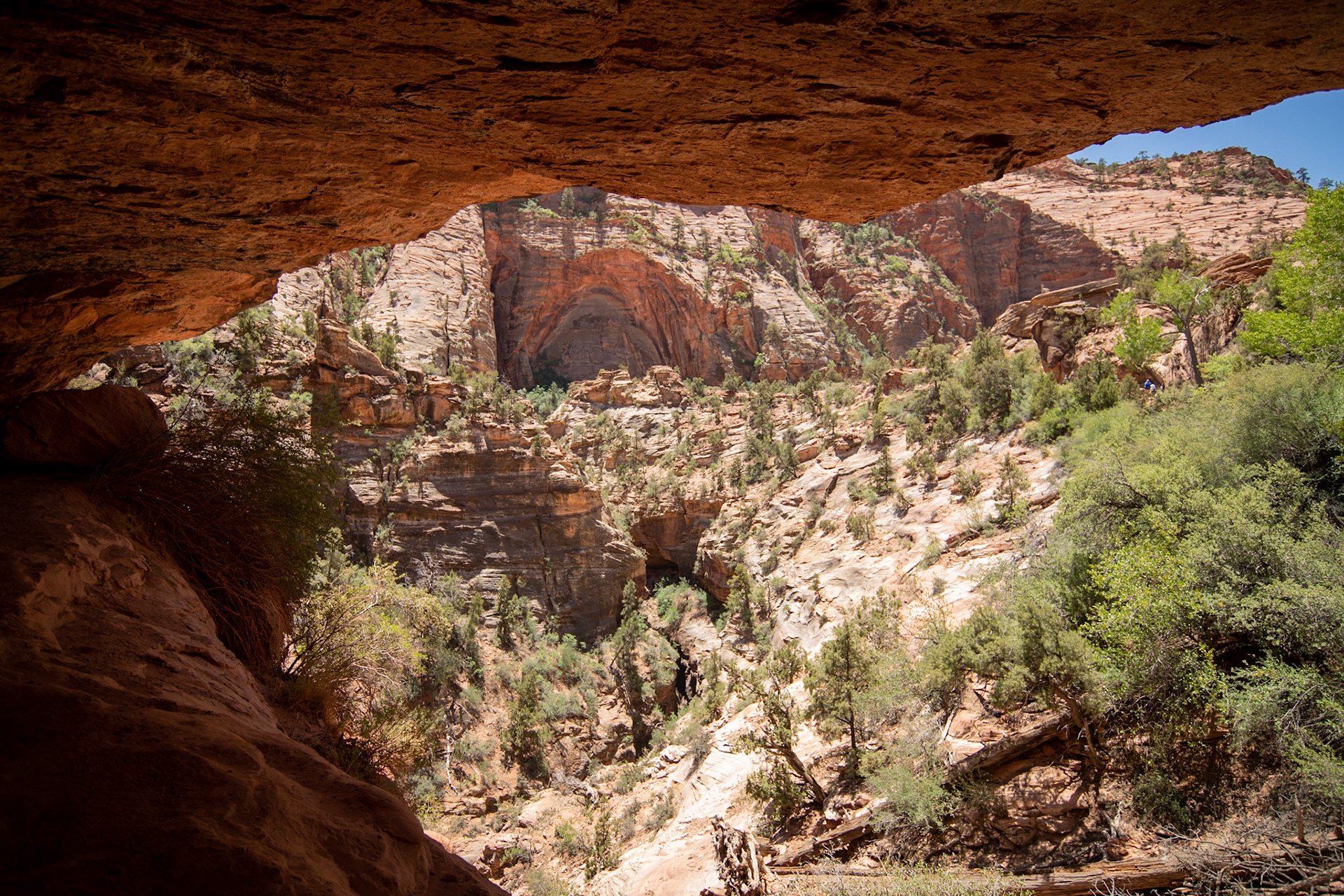 On the way to Canyon Overlook