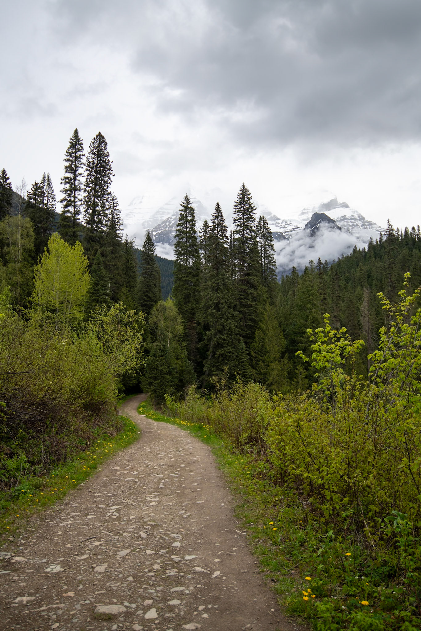 Mount Robson Park