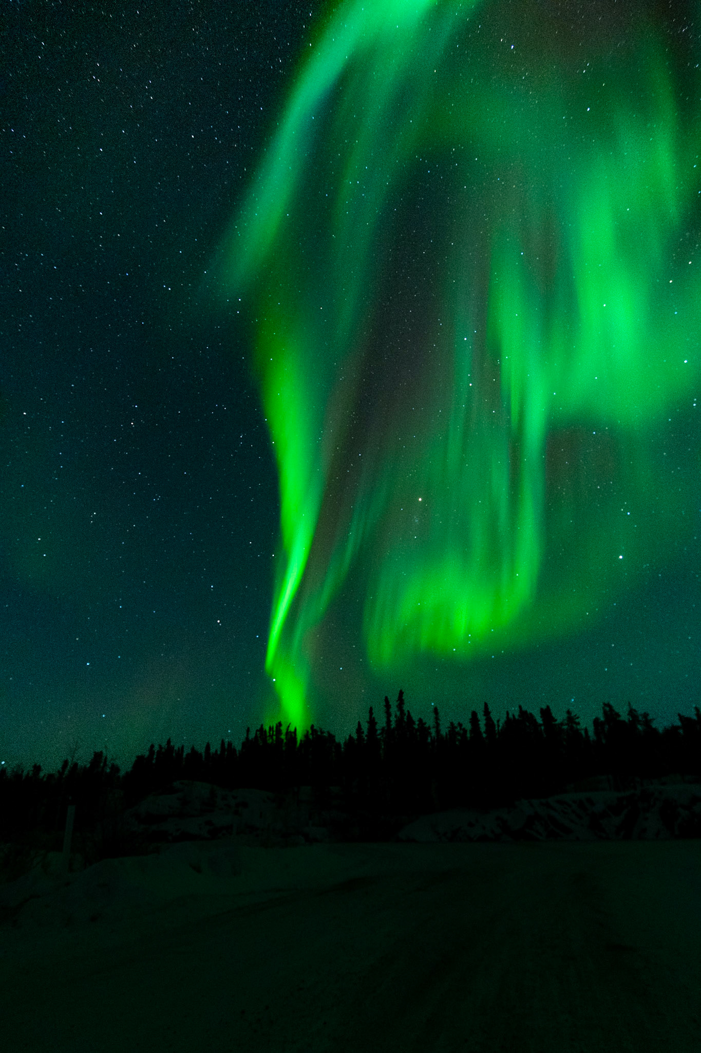 Northern lights at Prelude Lake E, Ingraham Trail