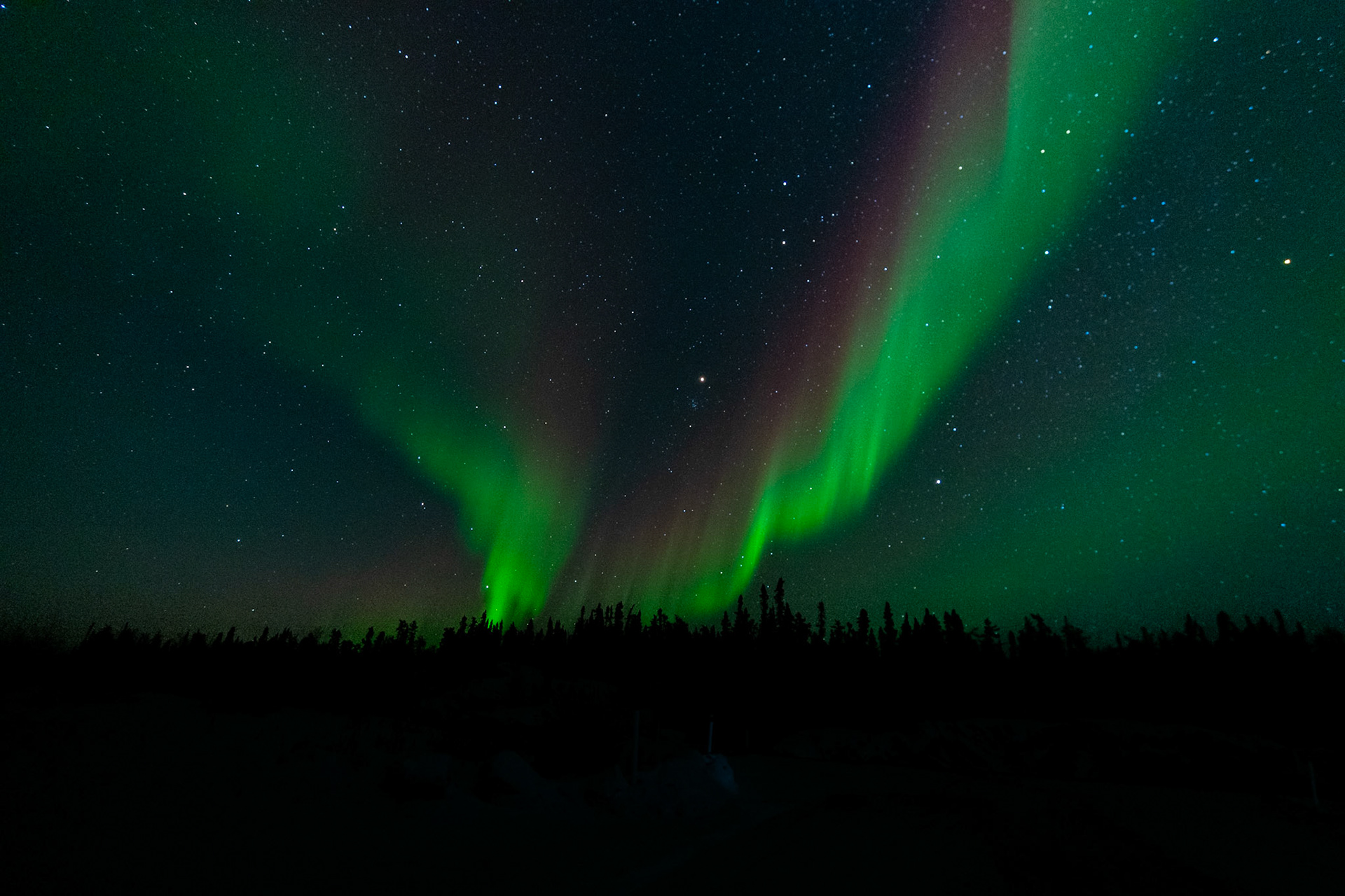 Northern lights at Prelude Lake E, Ingraham Trail