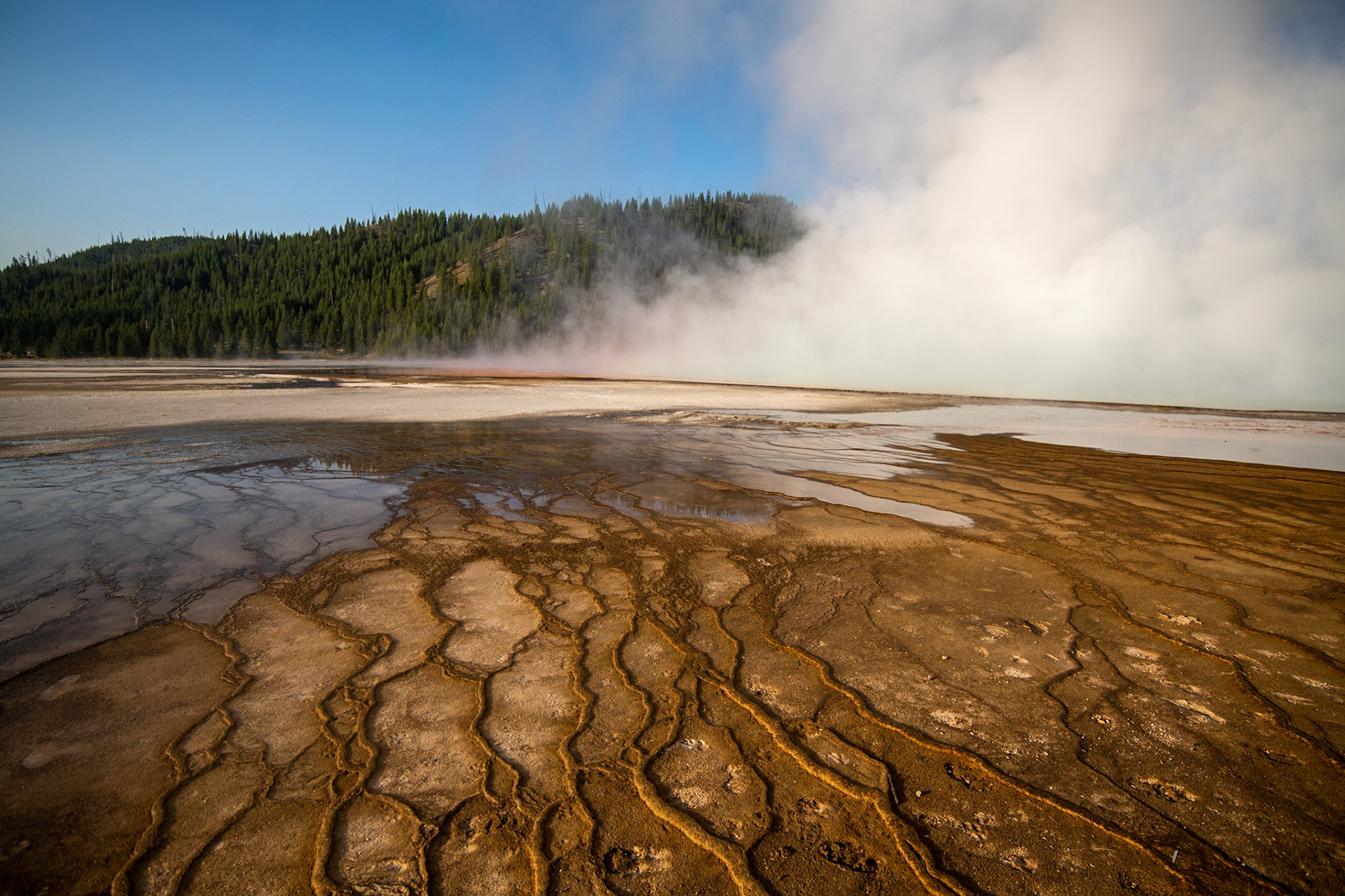 Grand Prismatic Spring