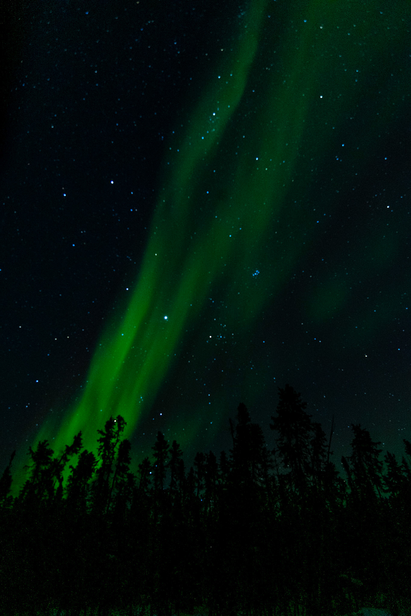 Northern lights at Prelude Lake E, Ingraham Trail