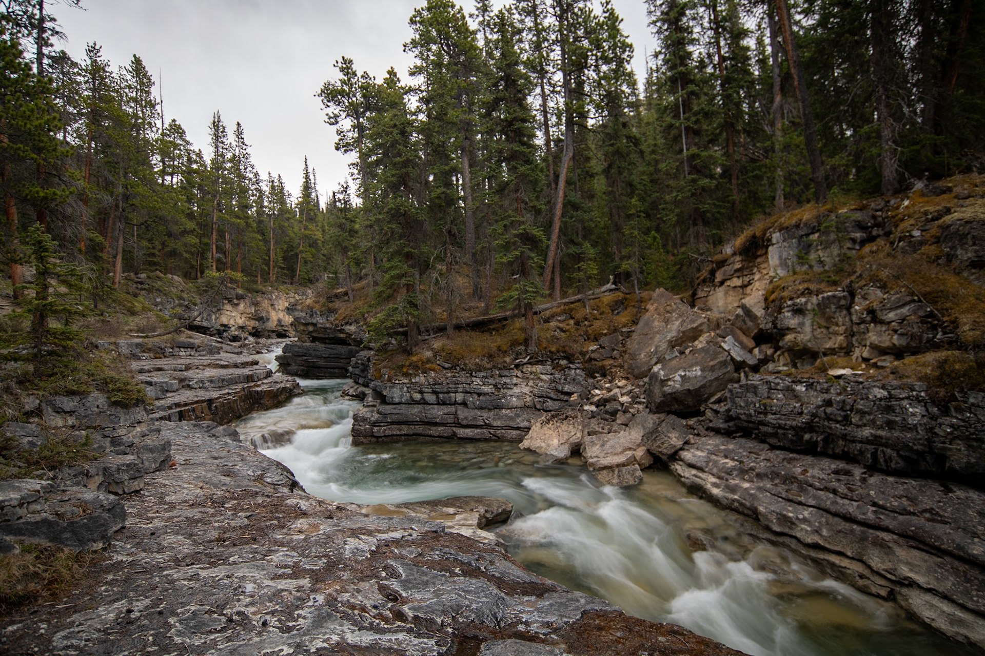 On the way to Stanley Falls on Beauty Creek Trail