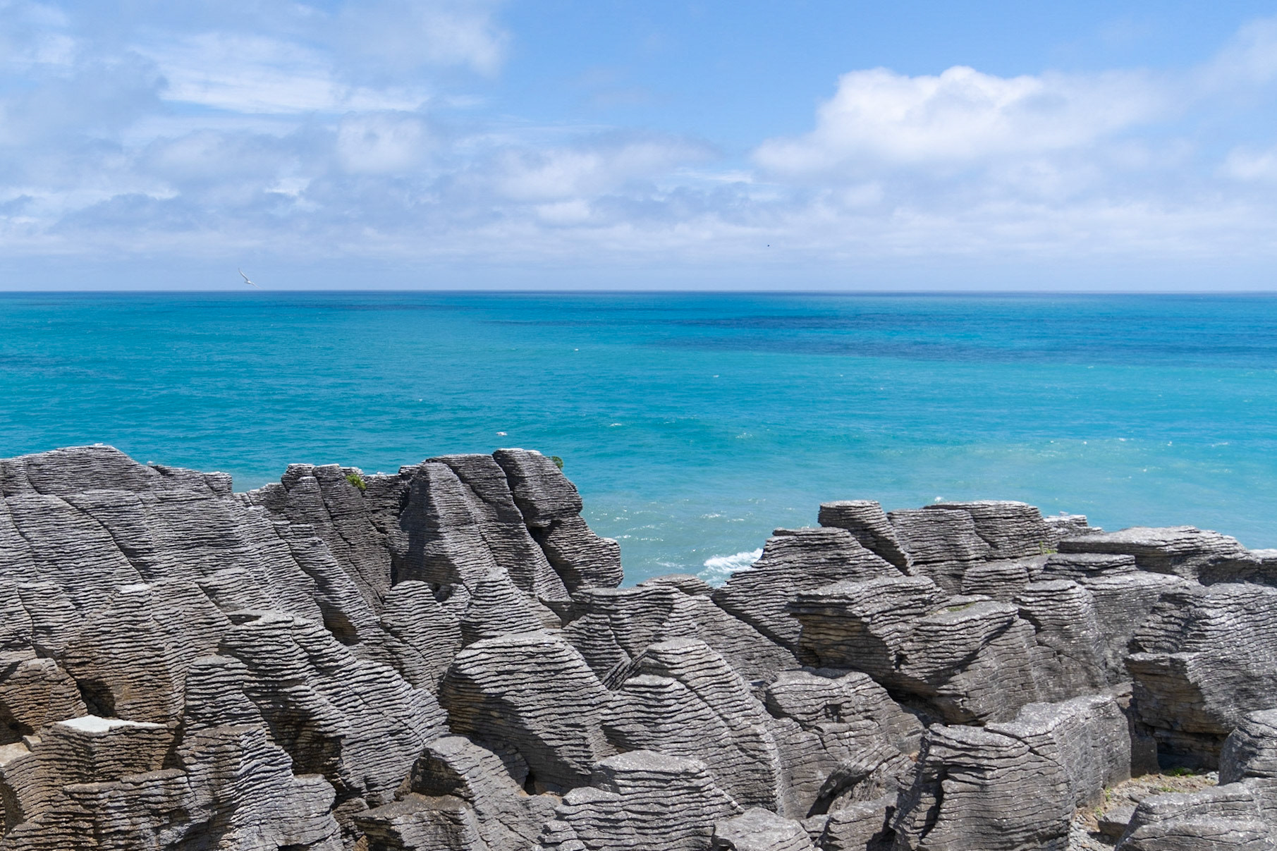 Pancake Rocks and Blowholes Walk, Paparoa National Park