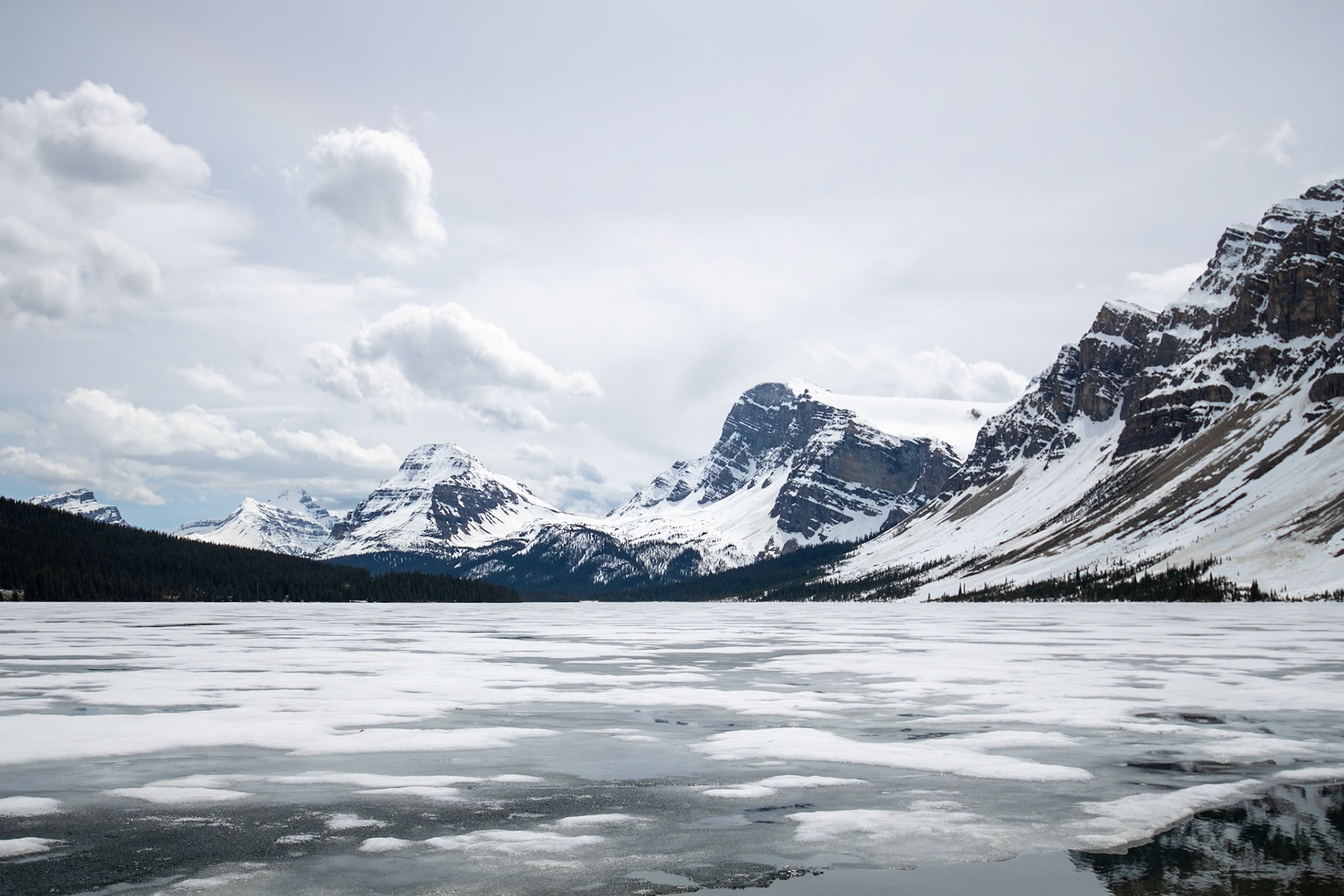 Bow Lake Viewpoint