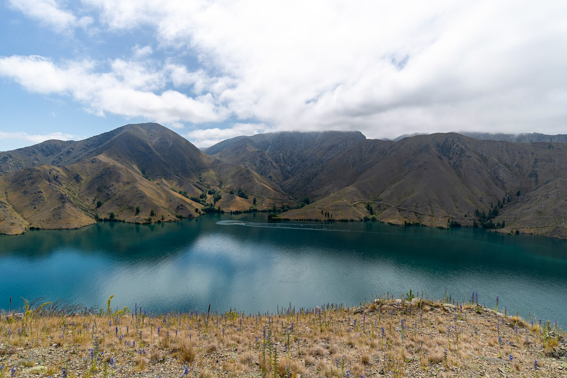Benmore Peninsula