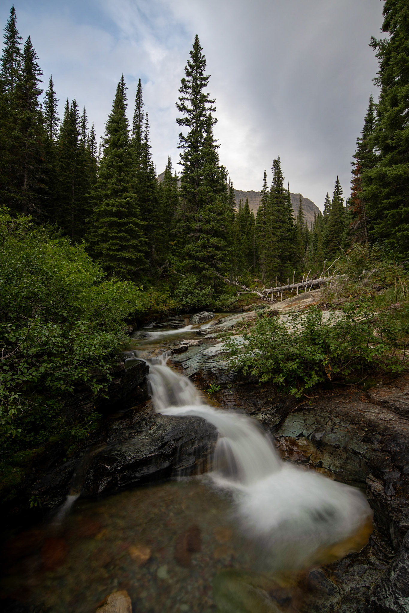 Ptarmigan Falls