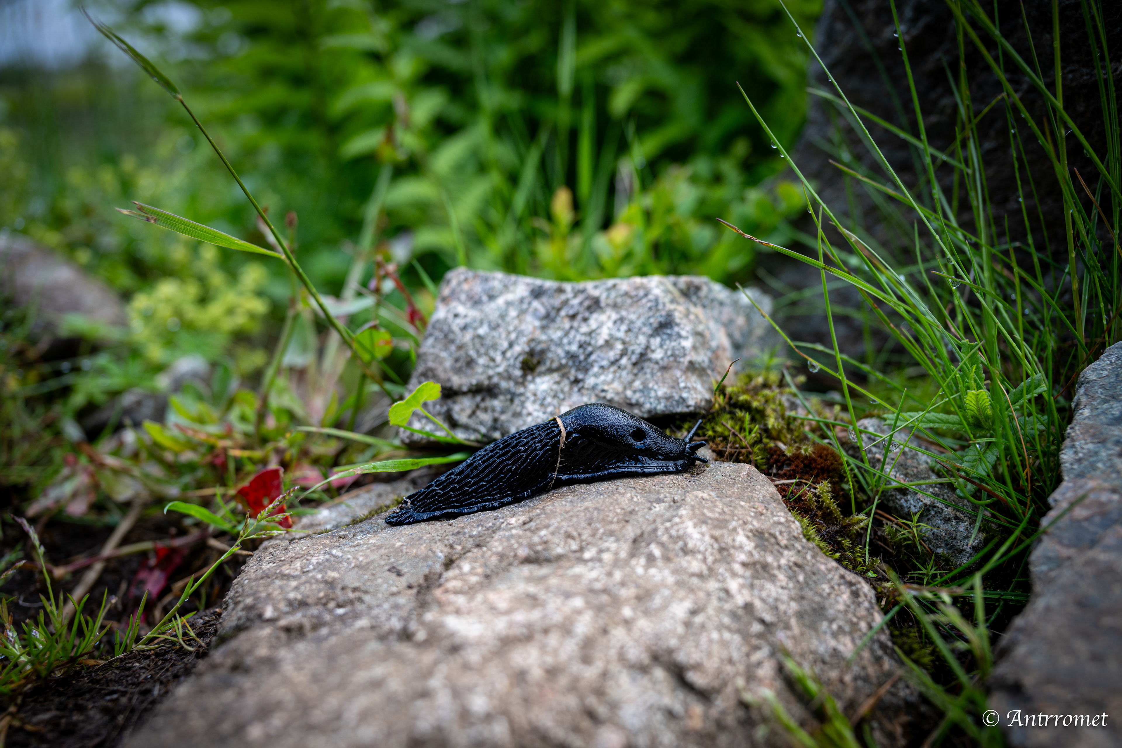 Yttersandheia-Røren