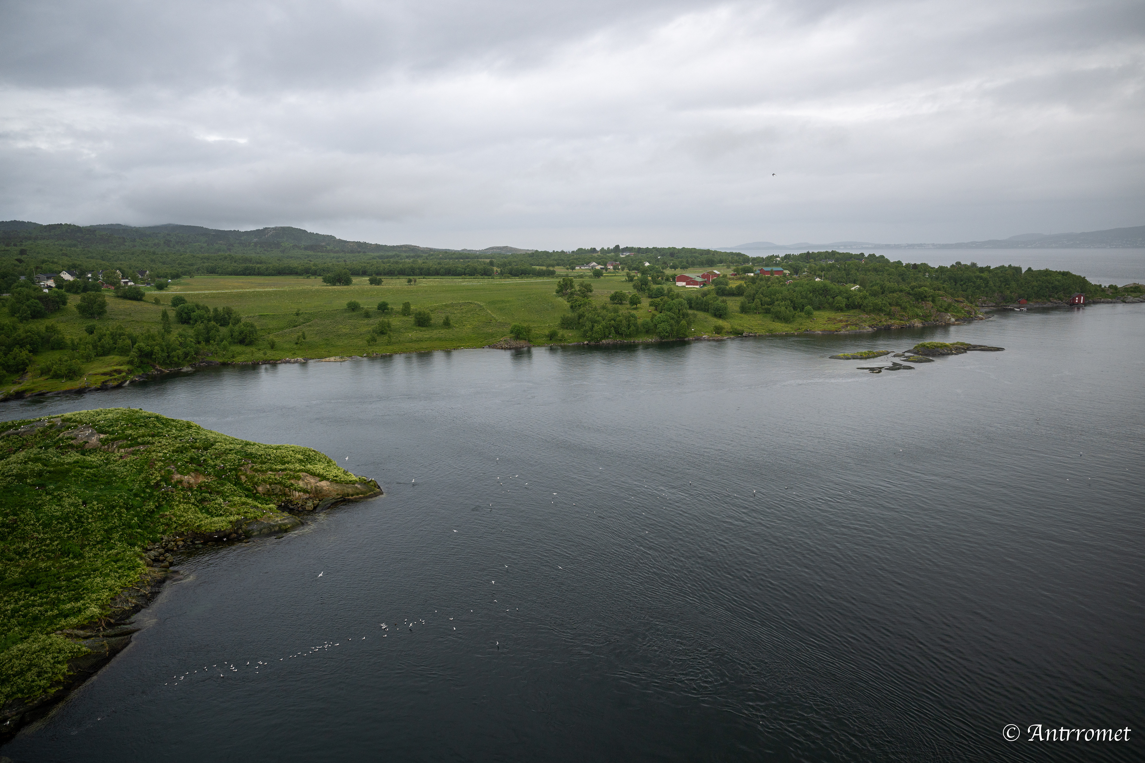 Viewpoint Saltstraumen