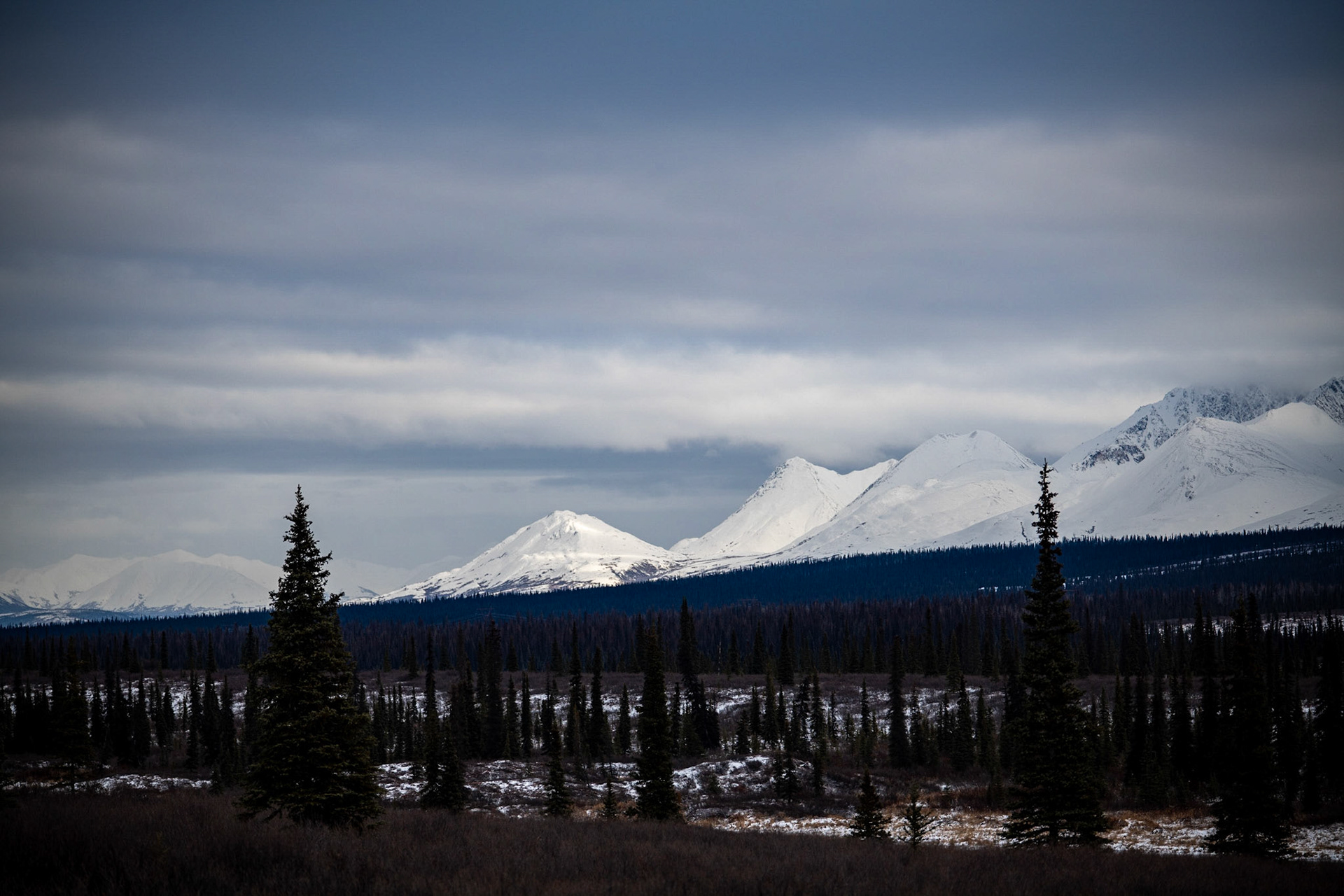 Somewhere on Denali Highway