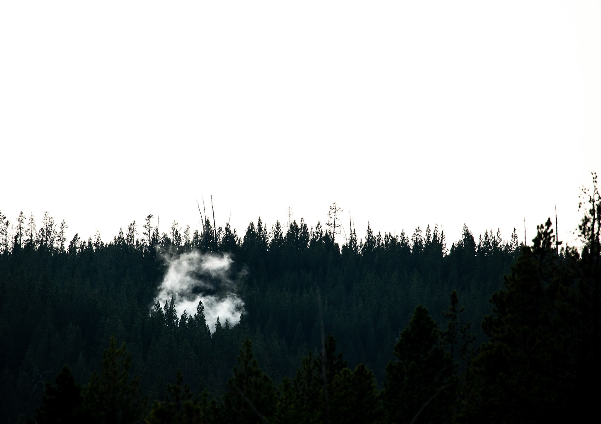 Somewhere in Norris Back Basin