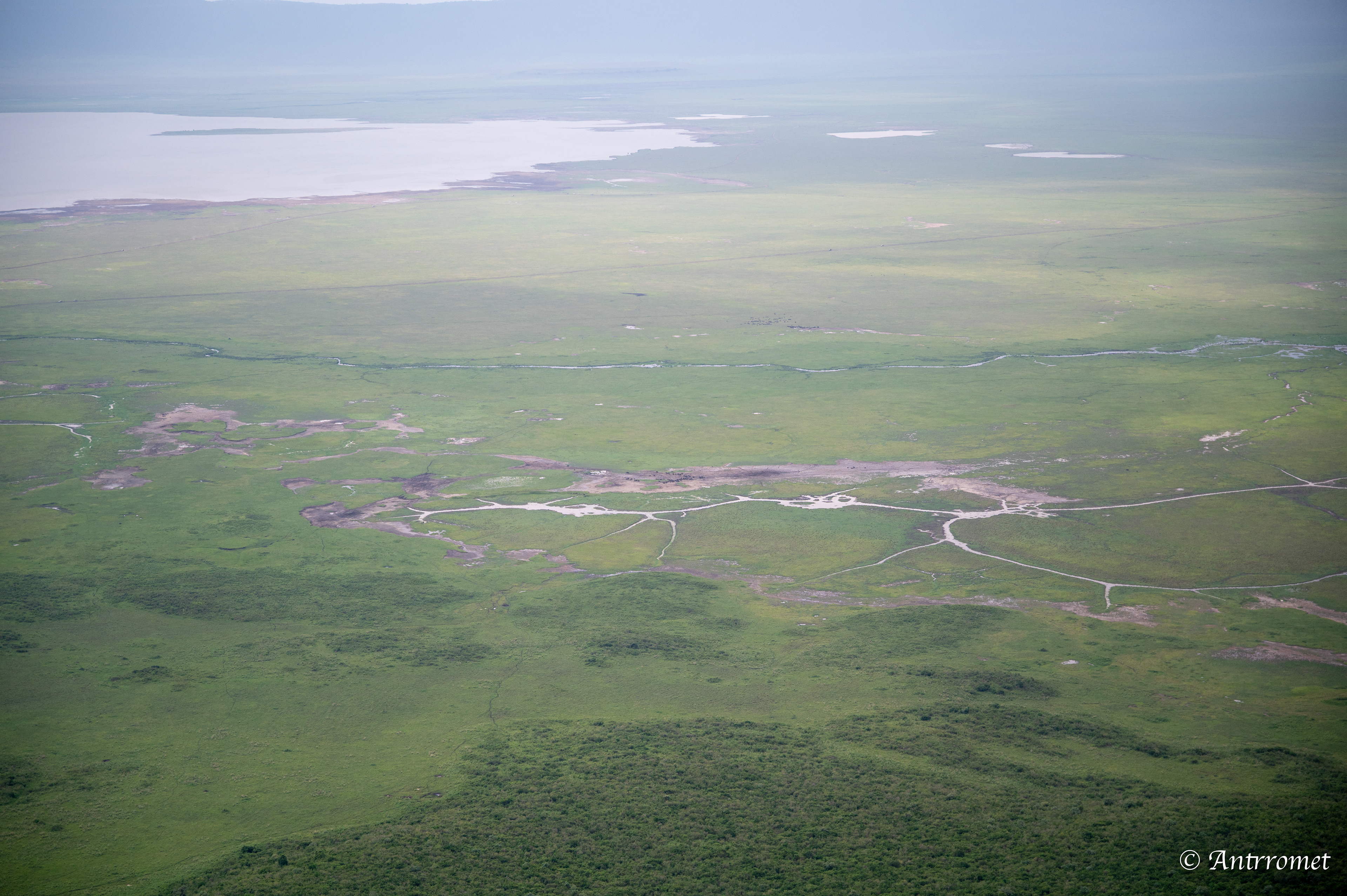 View of Ngorongoro crater from the rim