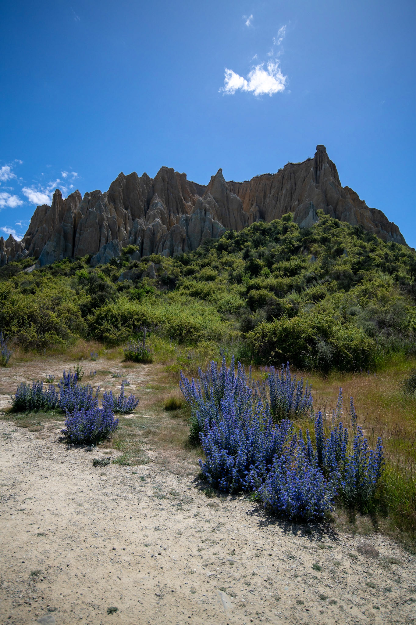 Clay Cliffs