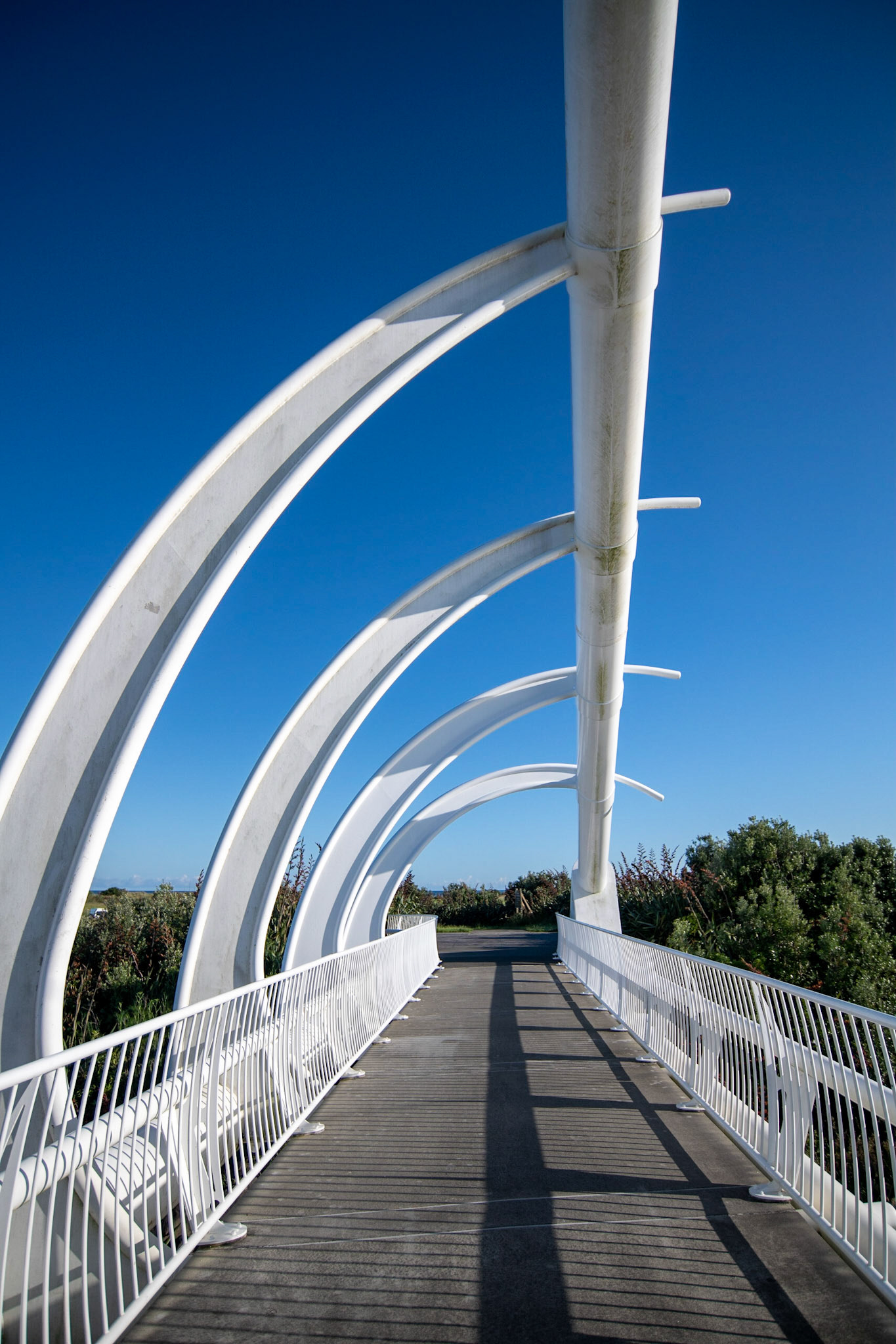 Te Rewa Rewa Bridge