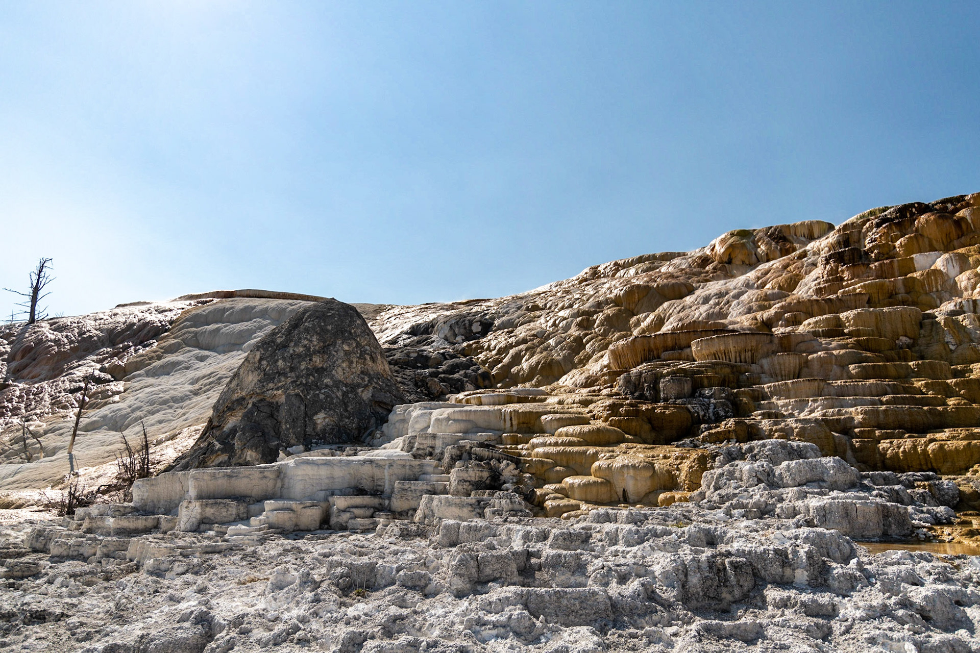 Mammoth Hot Springs
