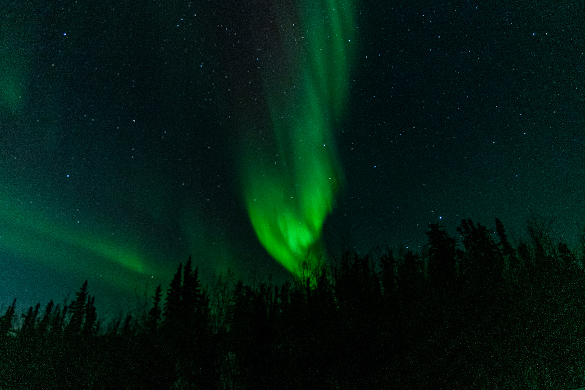 Northern lights at Prelude Lake E, Ingraham Trail