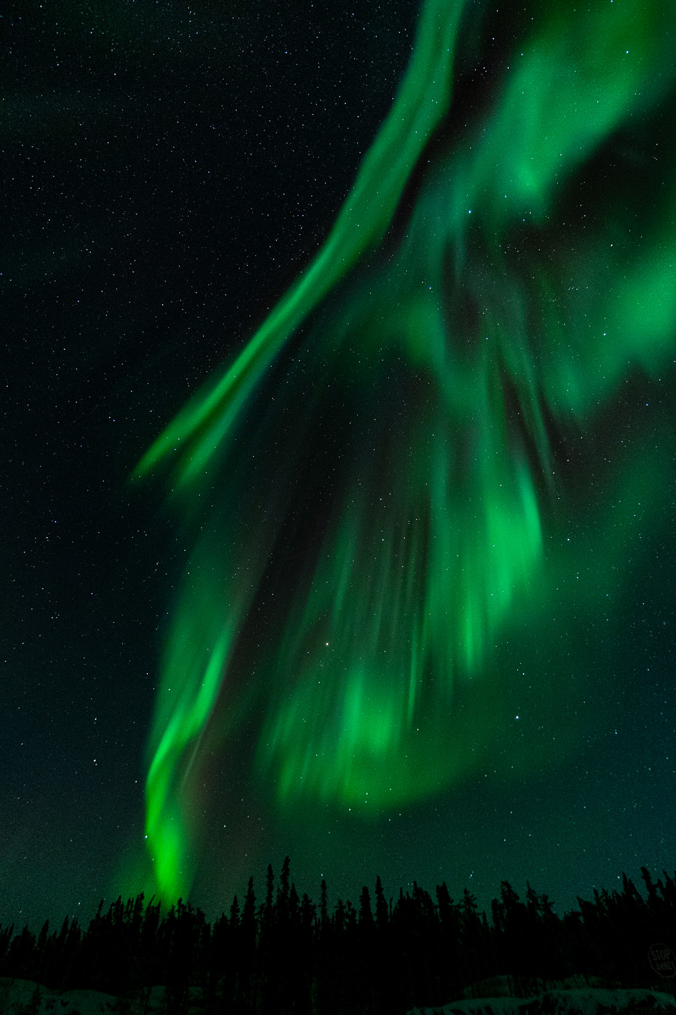 Northern lights at Prelude Lake E, Ingraham Trail