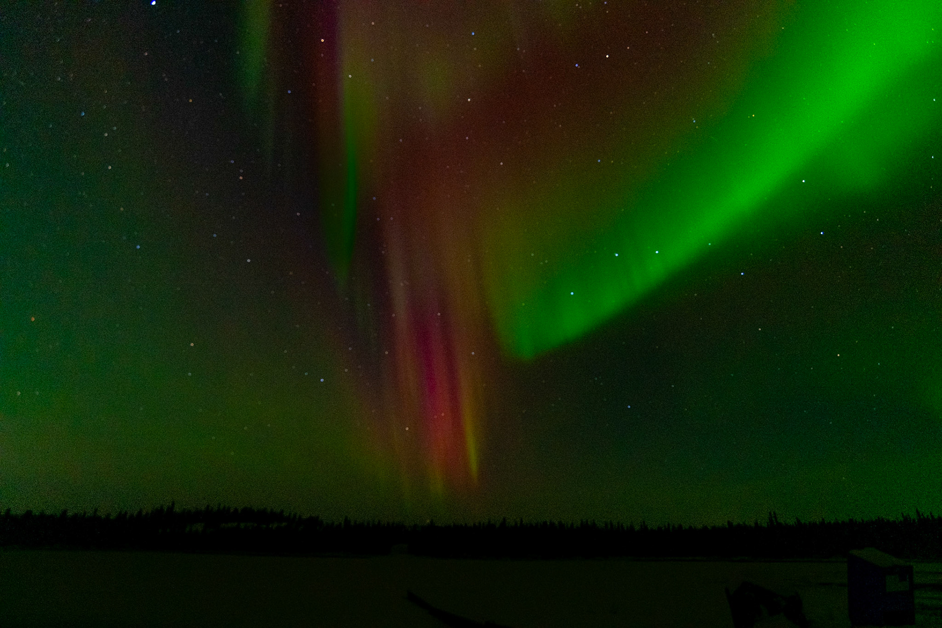 Northern lights at Prosperous Lake, Ingraham Trail